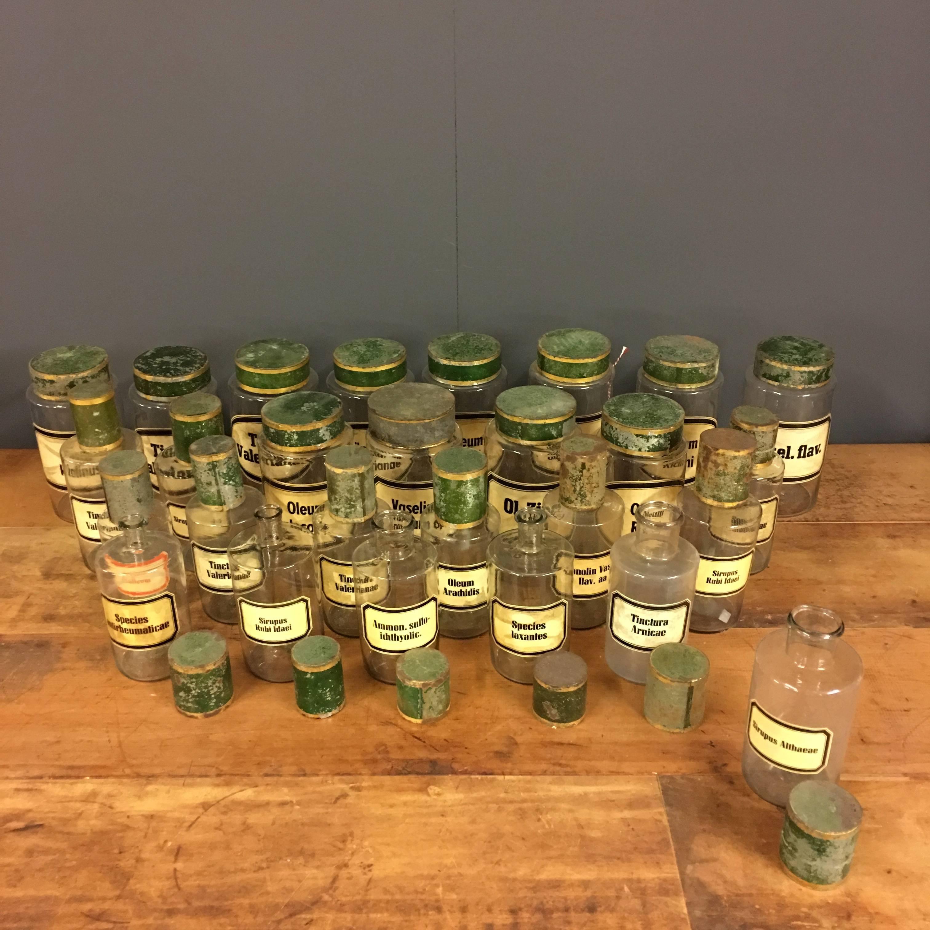 French Rare Set of 27 Antique Pharmacy Jars, France, 19th Century
