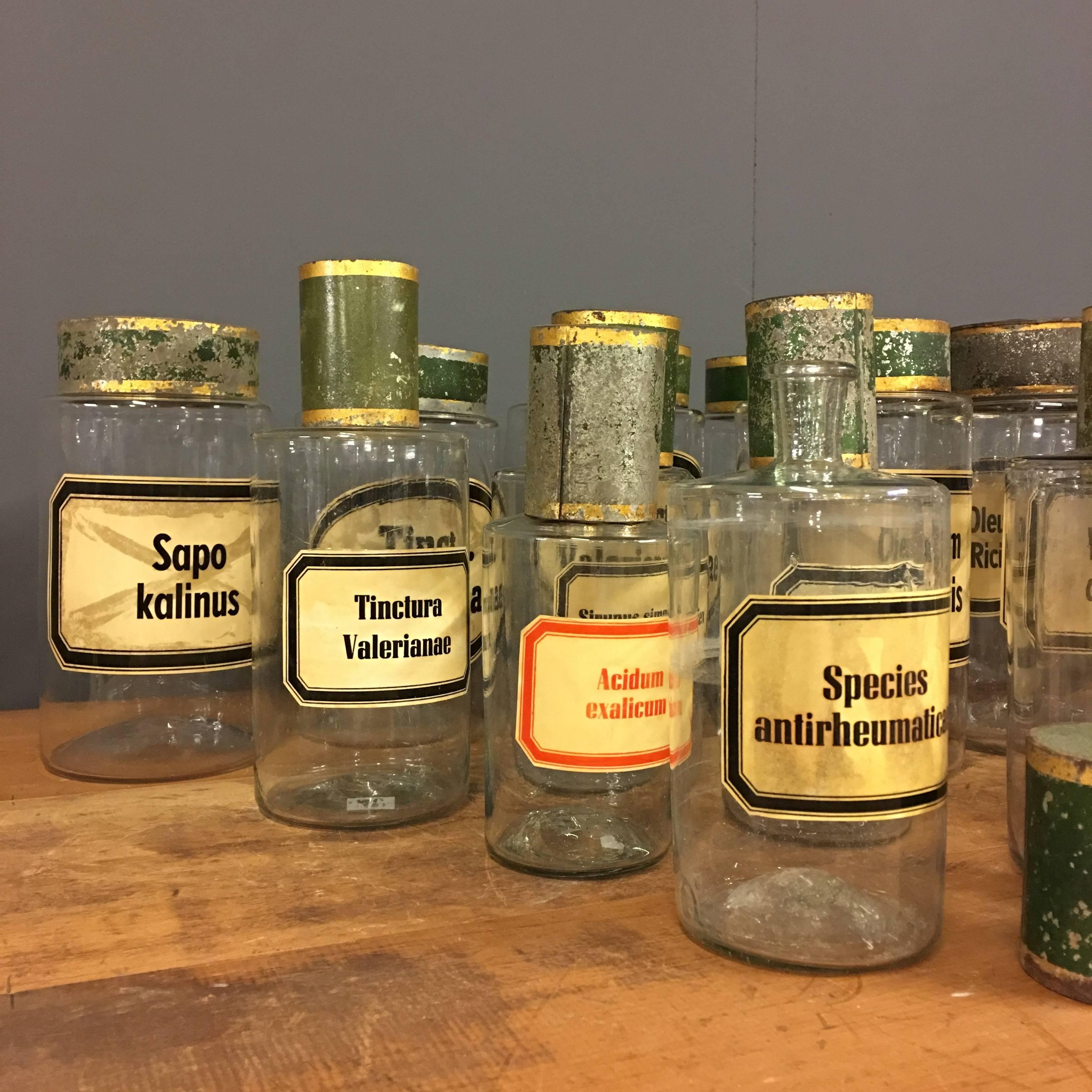 Rare Set of 27 Antique Pharmacy Jars, France, 19th Century 1
