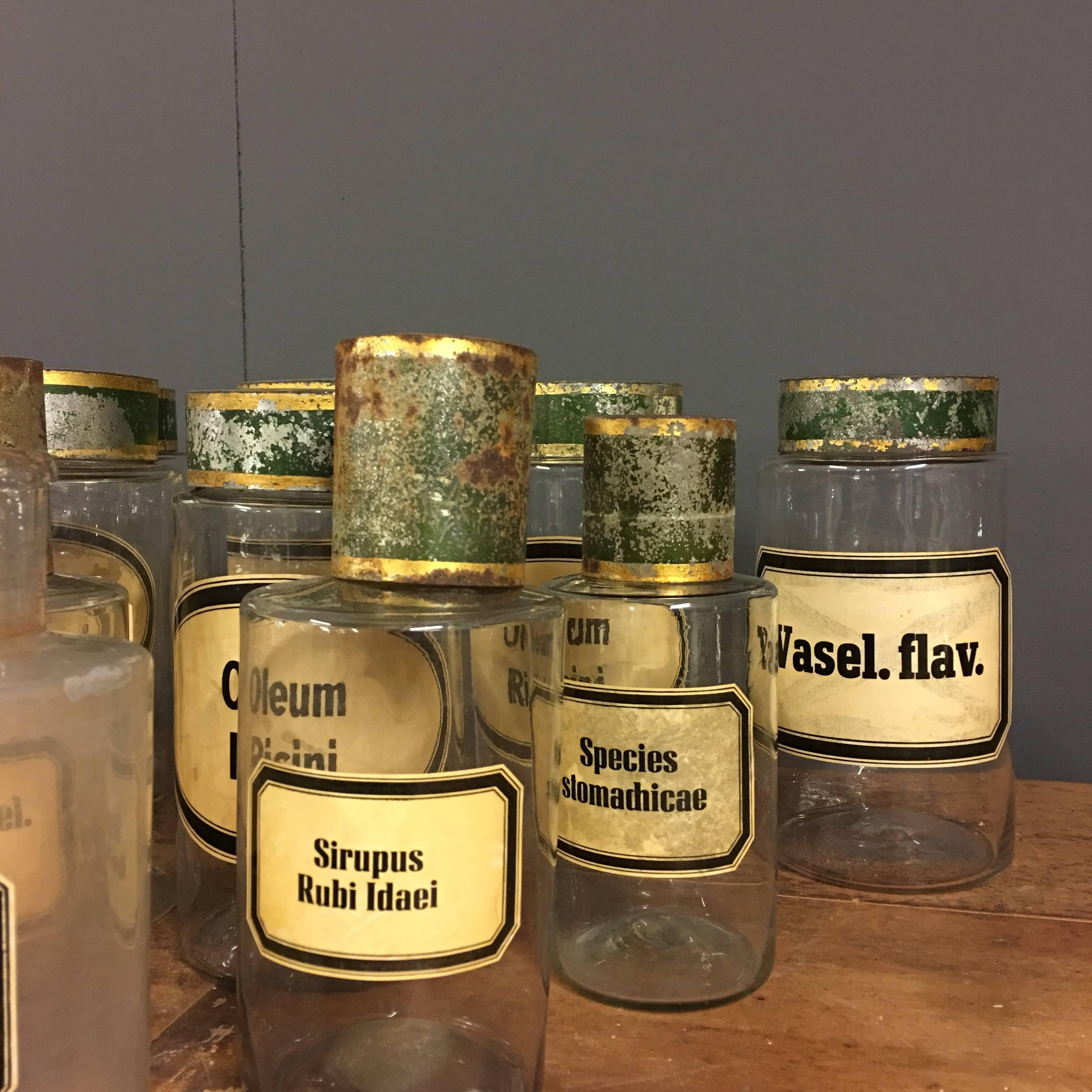 Metal Rare Set of 27 Antique Pharmacy Jars, France, 19th Century