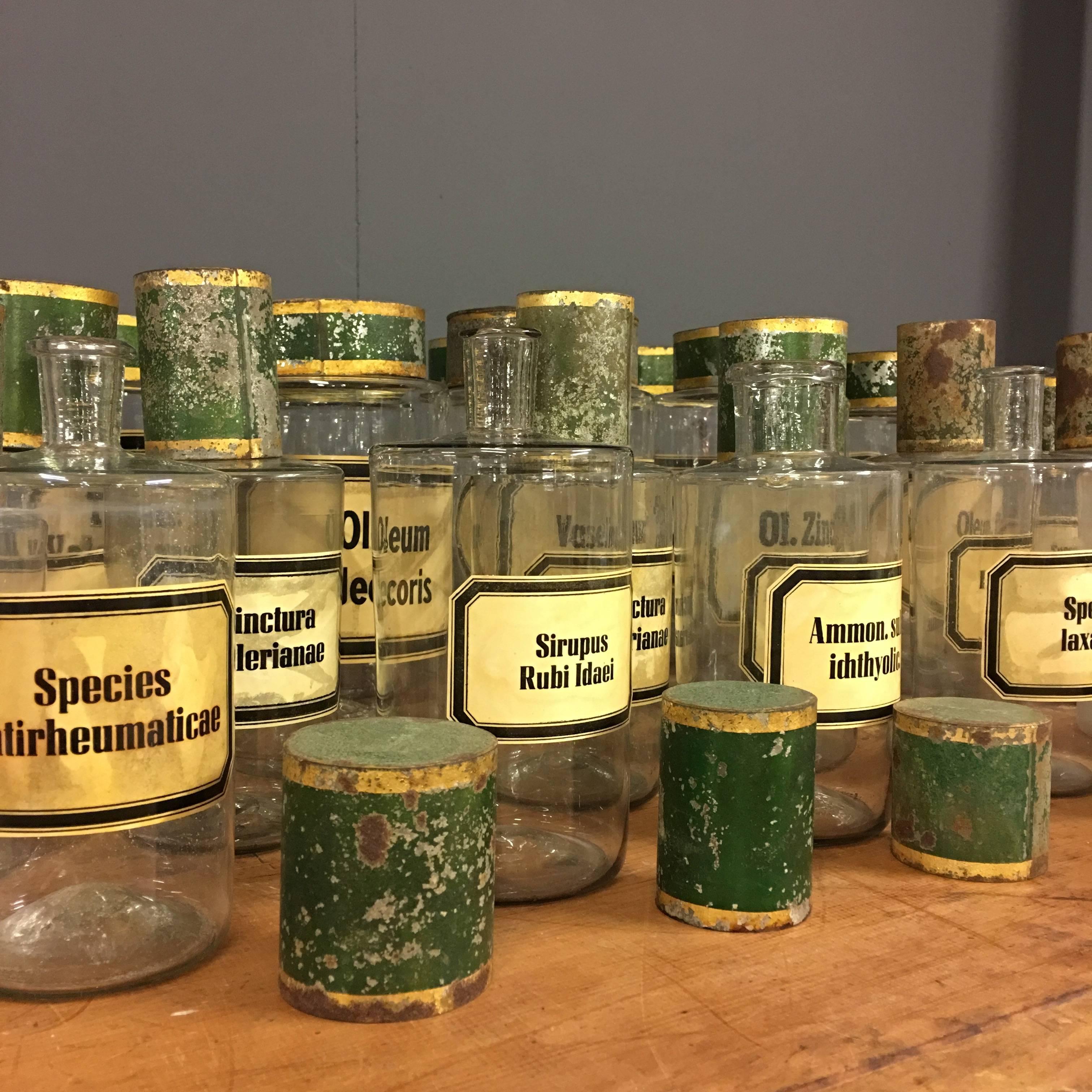 Rare Set of 27 Antique Pharmacy Jars, France, 19th Century 4