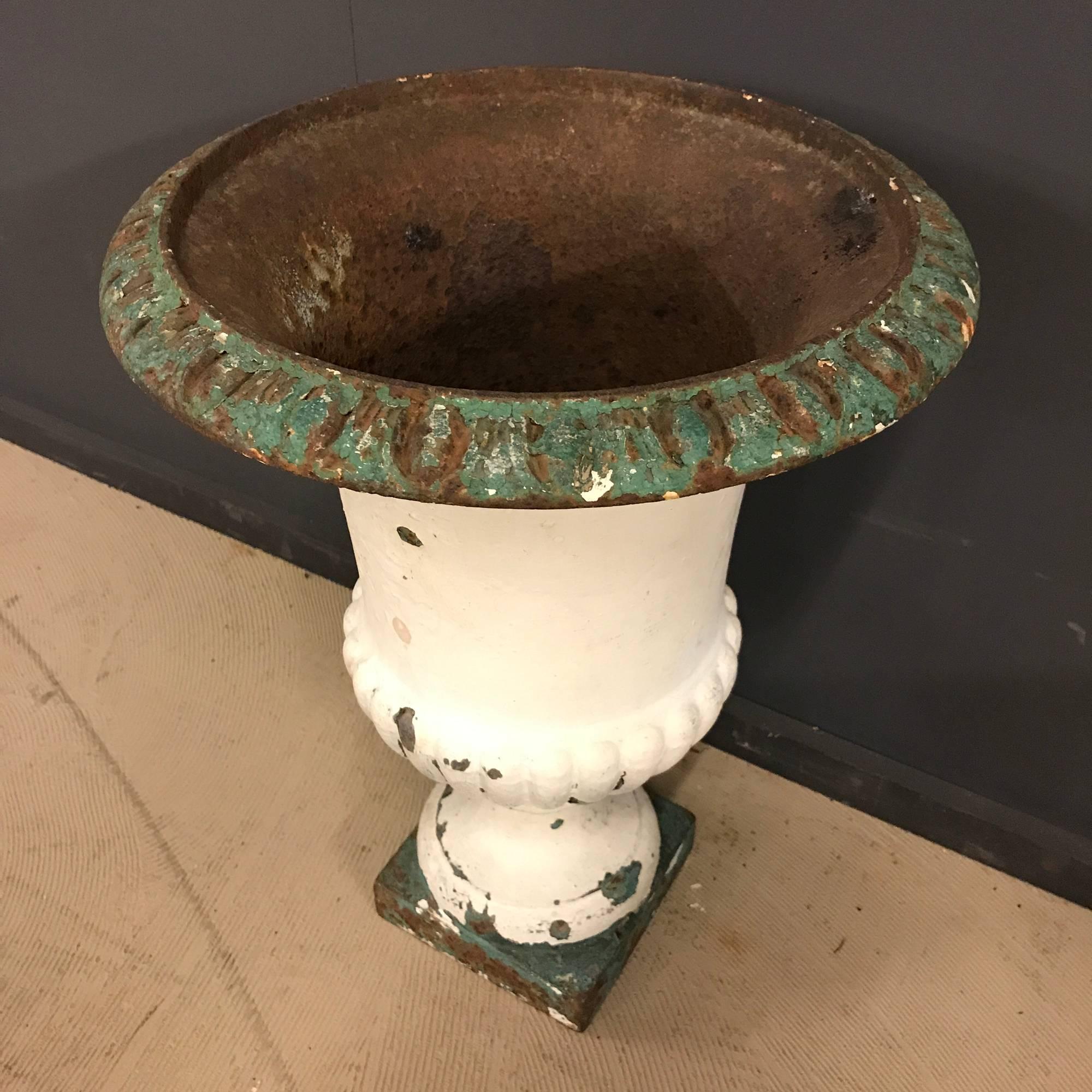 Antique cast iron medicis vase. Multiple layer of old paint and good patina. This item remains in good condition.