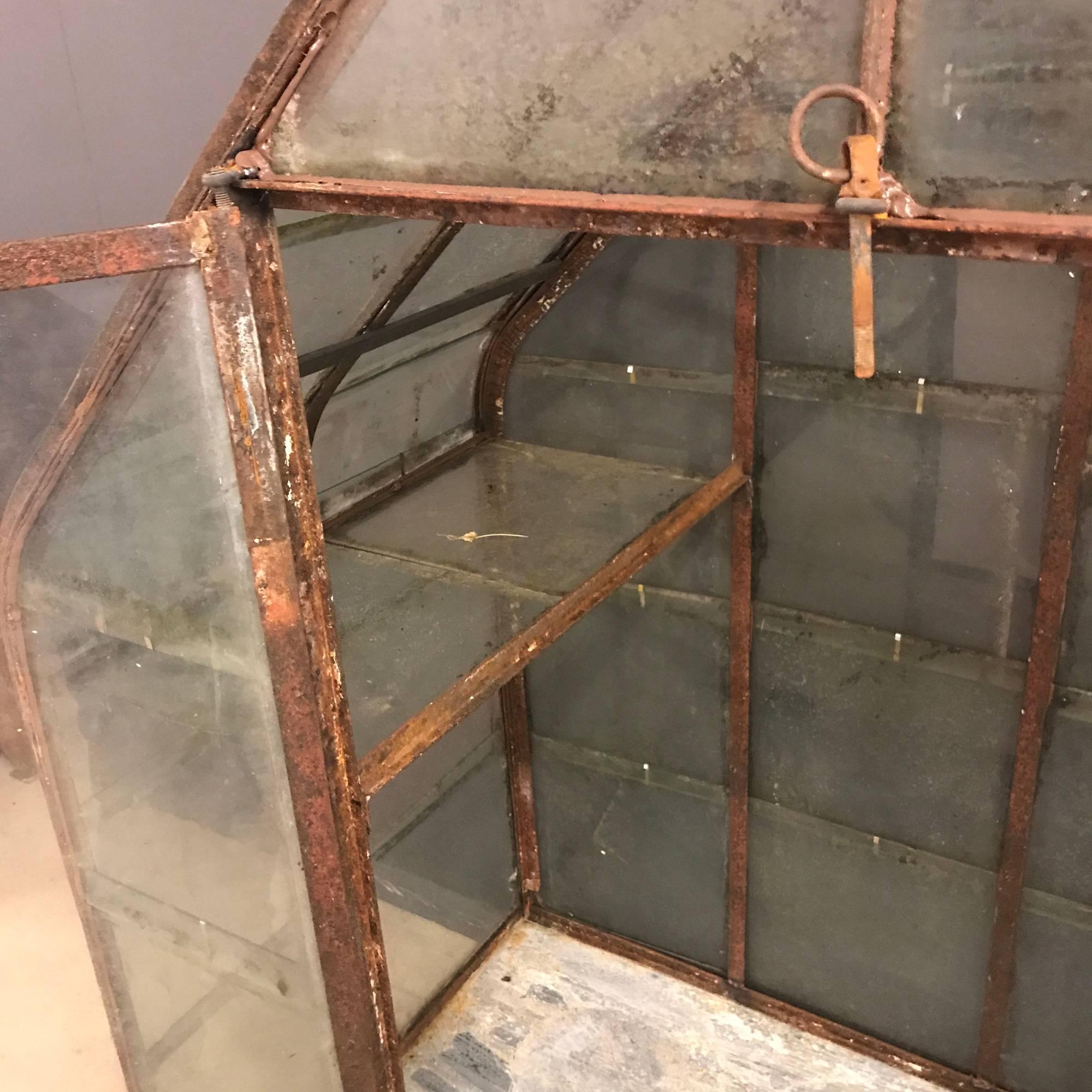 19th Century Small French Antique Greenhouse, 1920s For Sale