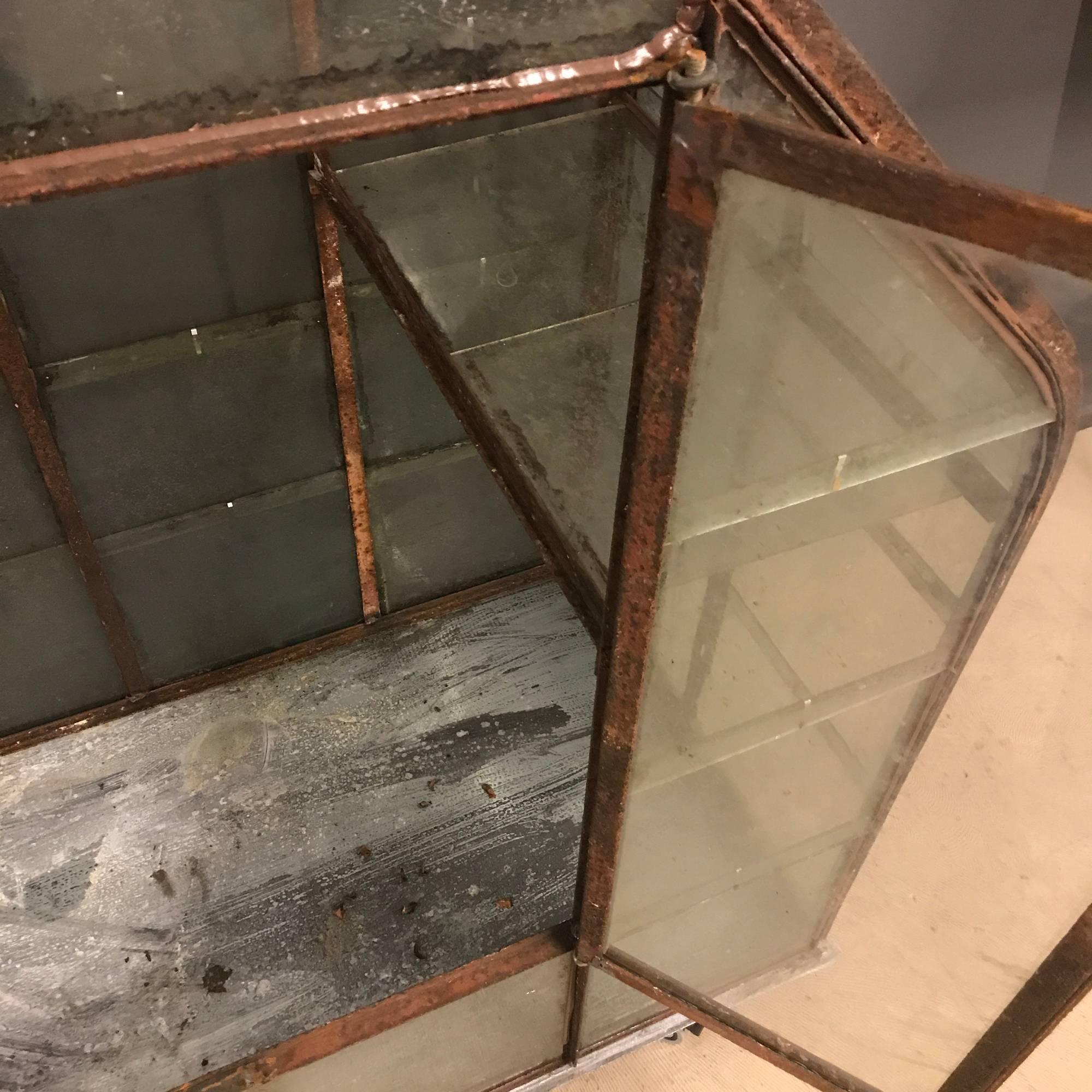 Glass Small French Antique Greenhouse, 1920s For Sale