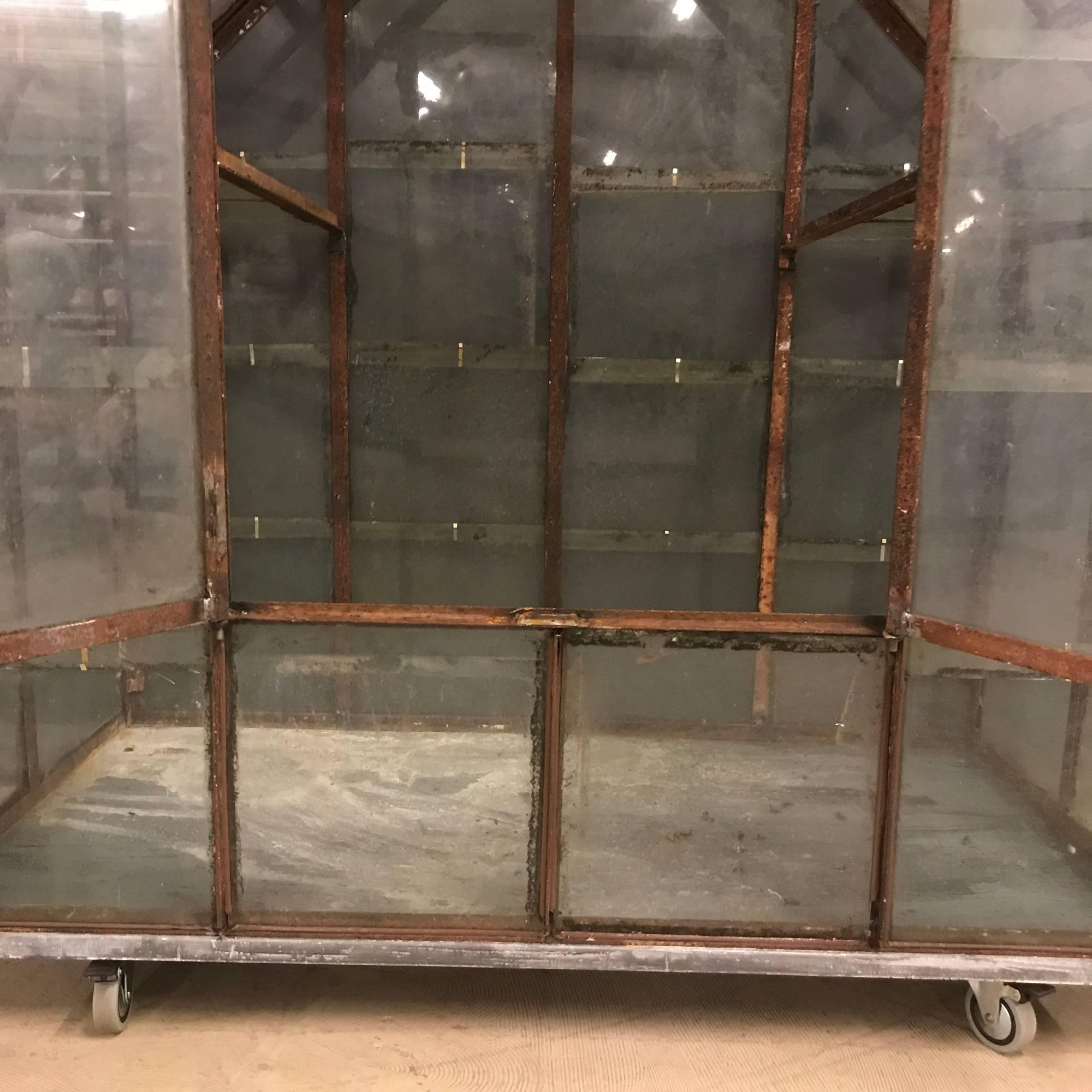 Small French Antique Greenhouse, 1920s For Sale 1