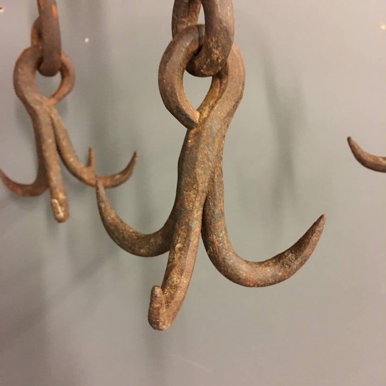 Antique Wrought Iron Meathook Hanger For Sale at 1stDibs