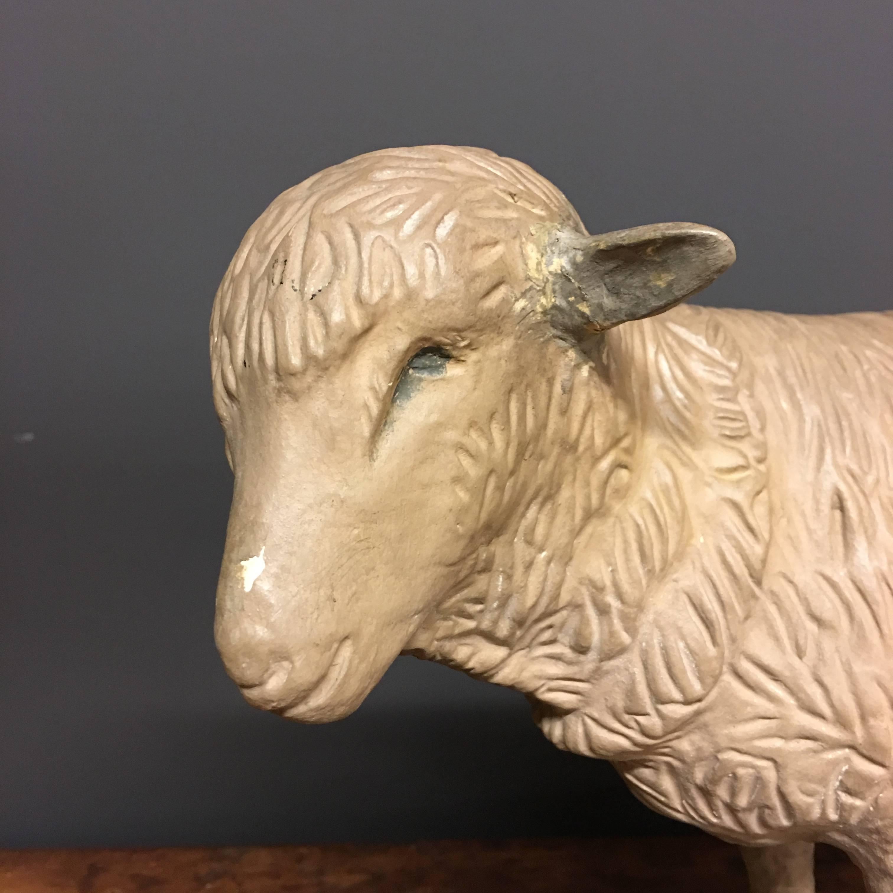 This sheep was used for presentation in a butcher shop in Germany. It is made of plaster during the early 20th century. This sheep remains in good vintage condition.