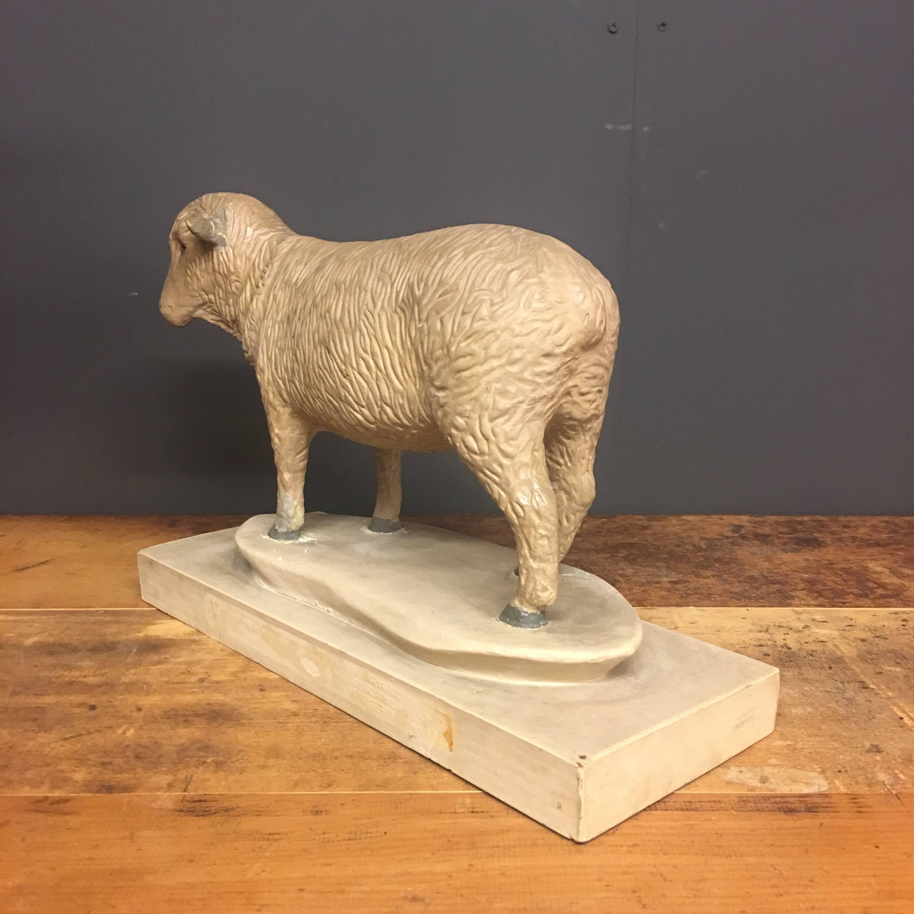 Vintage Plaster Butcher Presentation Sheep Model In Good Condition In Ulft, Gelderland