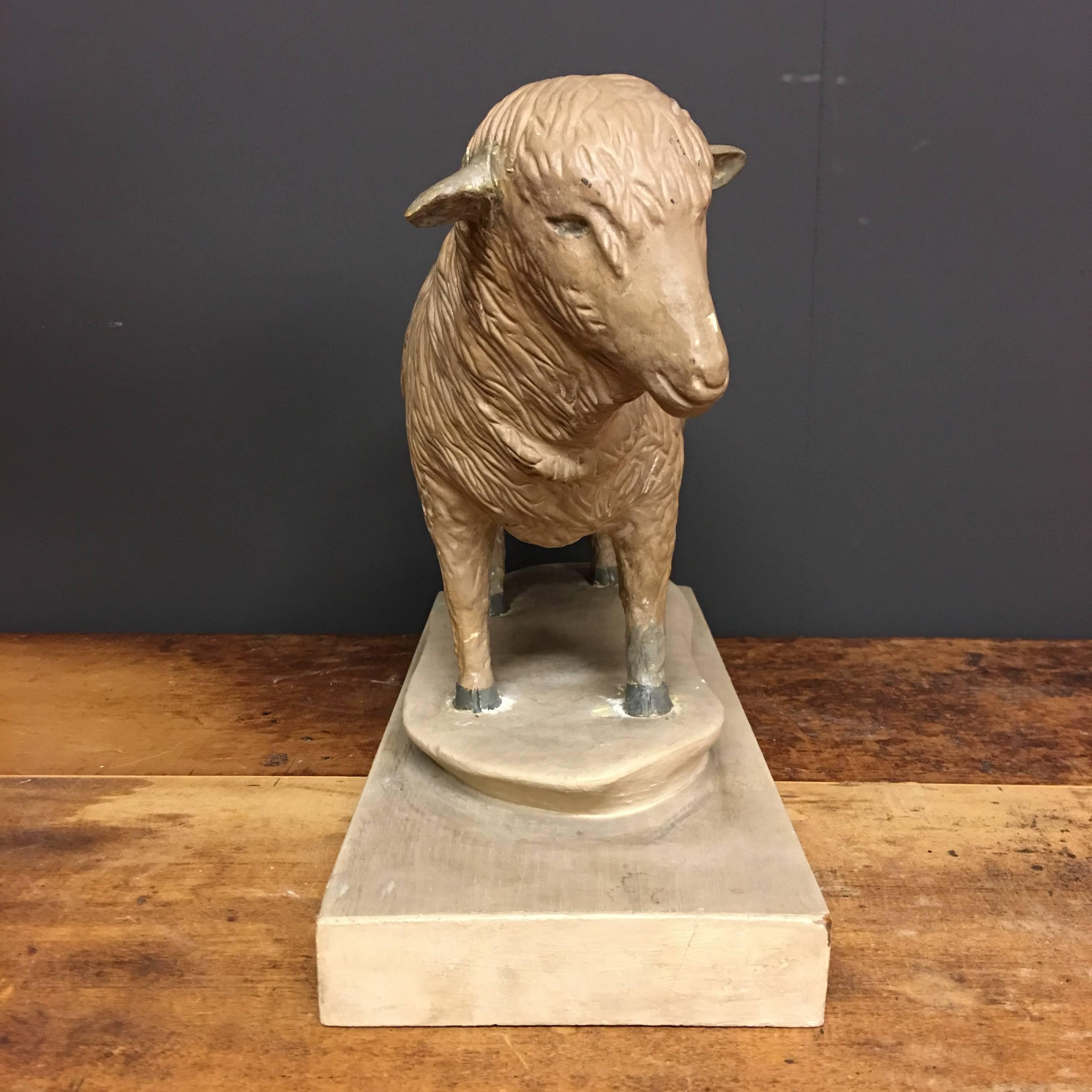 German Vintage Plaster Butcher Presentation Sheep Model