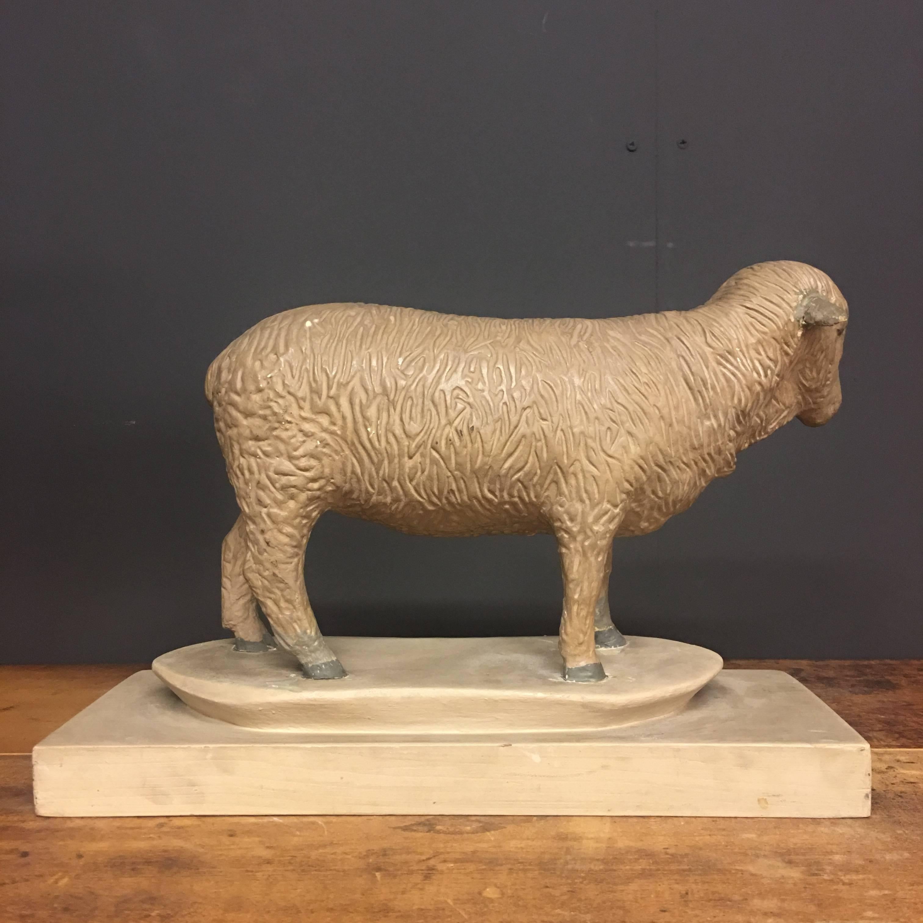 Painted Vintage Plaster Butcher Presentation Sheep Model