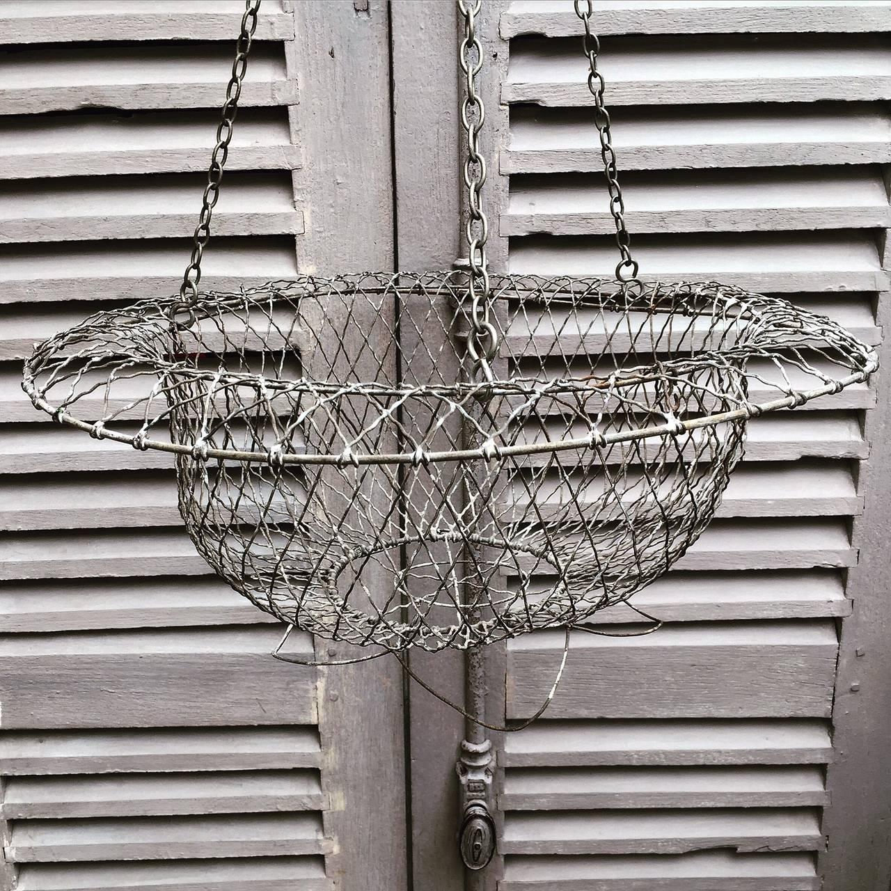 Vintage zinc galvanized wirework garden hanging basket.