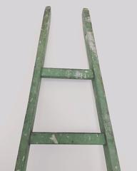 Vintage French Fruit Pickers Ladder