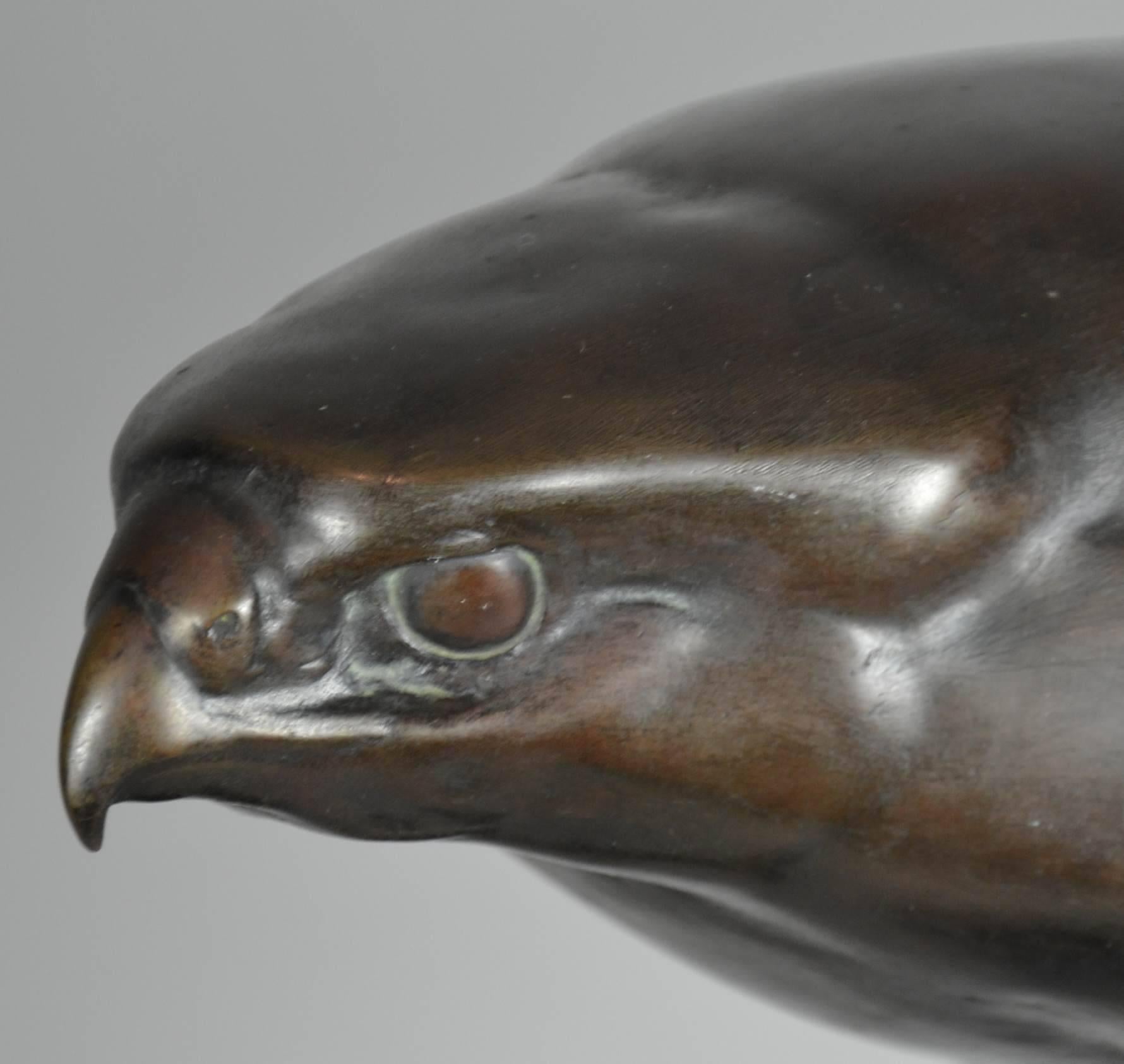 Seltener deutscher Bronzefalke auf einem Felsen von Willy Zügel (Frühes 20. Jahrhundert)