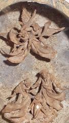 Contemporary Nativity Scene in Oval Teca