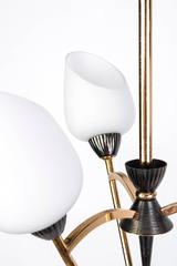 Sophisticated Chandelier Attributed to Stilnovo