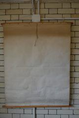 Mid-20th Century Anatomical Chart, Blood Cell Function