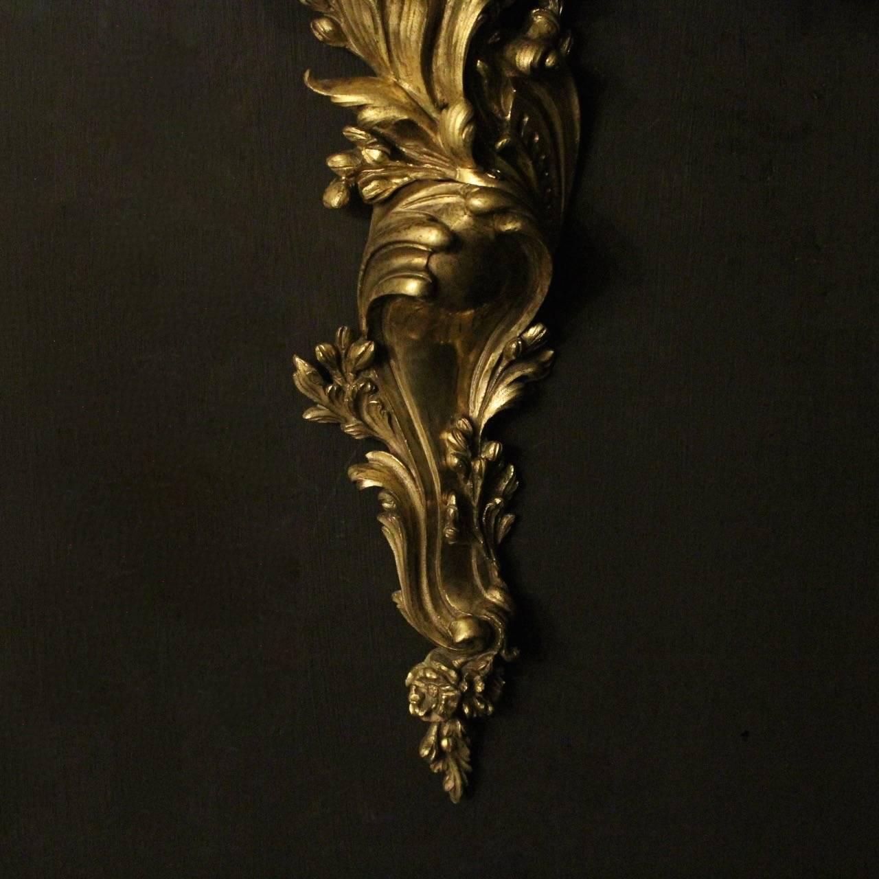 A large French pair of gilded bronze triple arm antique wall sconces, the ornate leaf scrolling arms with leaf bobeches drip pans, issuing from a decoratively cast elongated tapering leaf backplate with central cartouche, excellent original