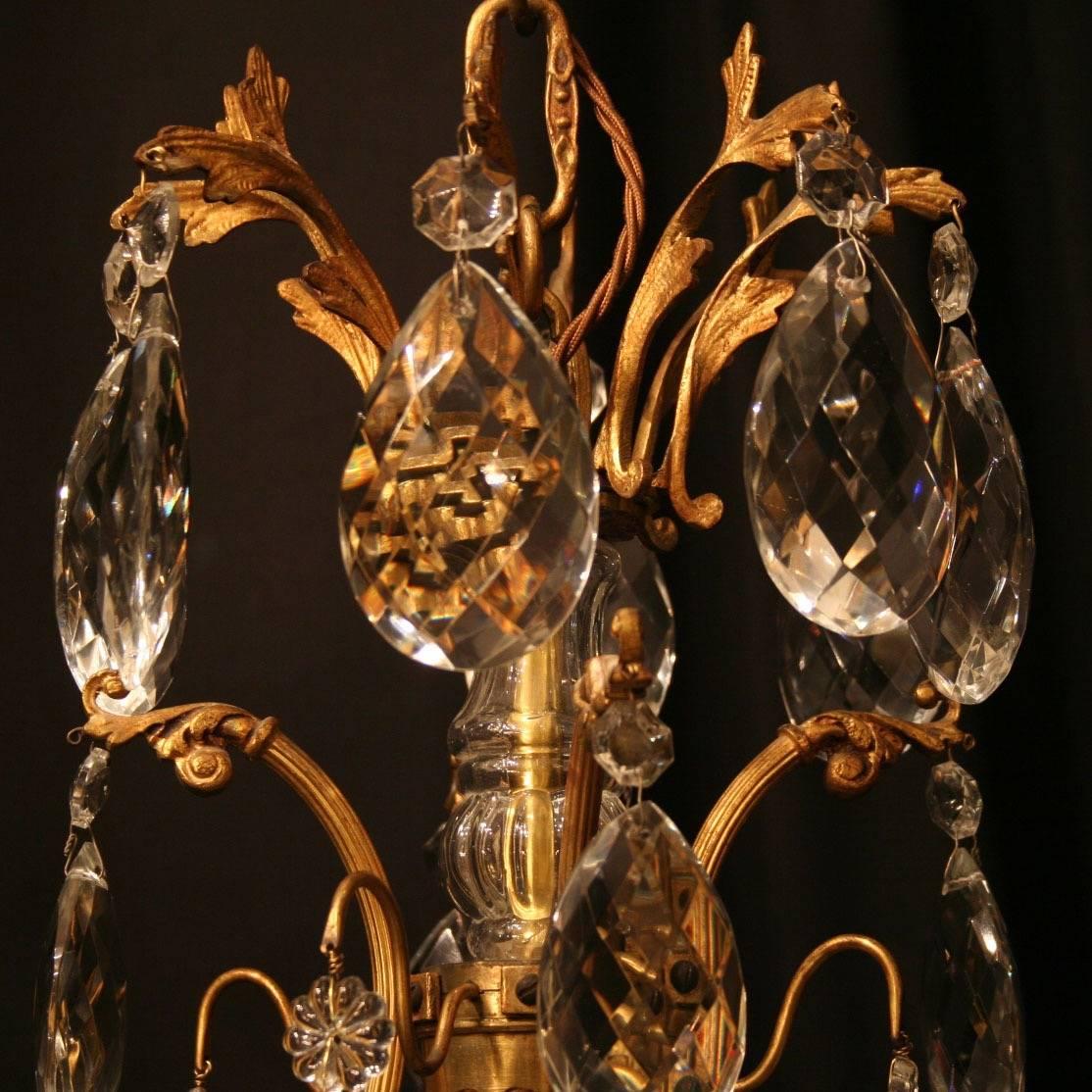 French Gilded and Crystal Nine-Light Birdcage Antique Chandelier 4