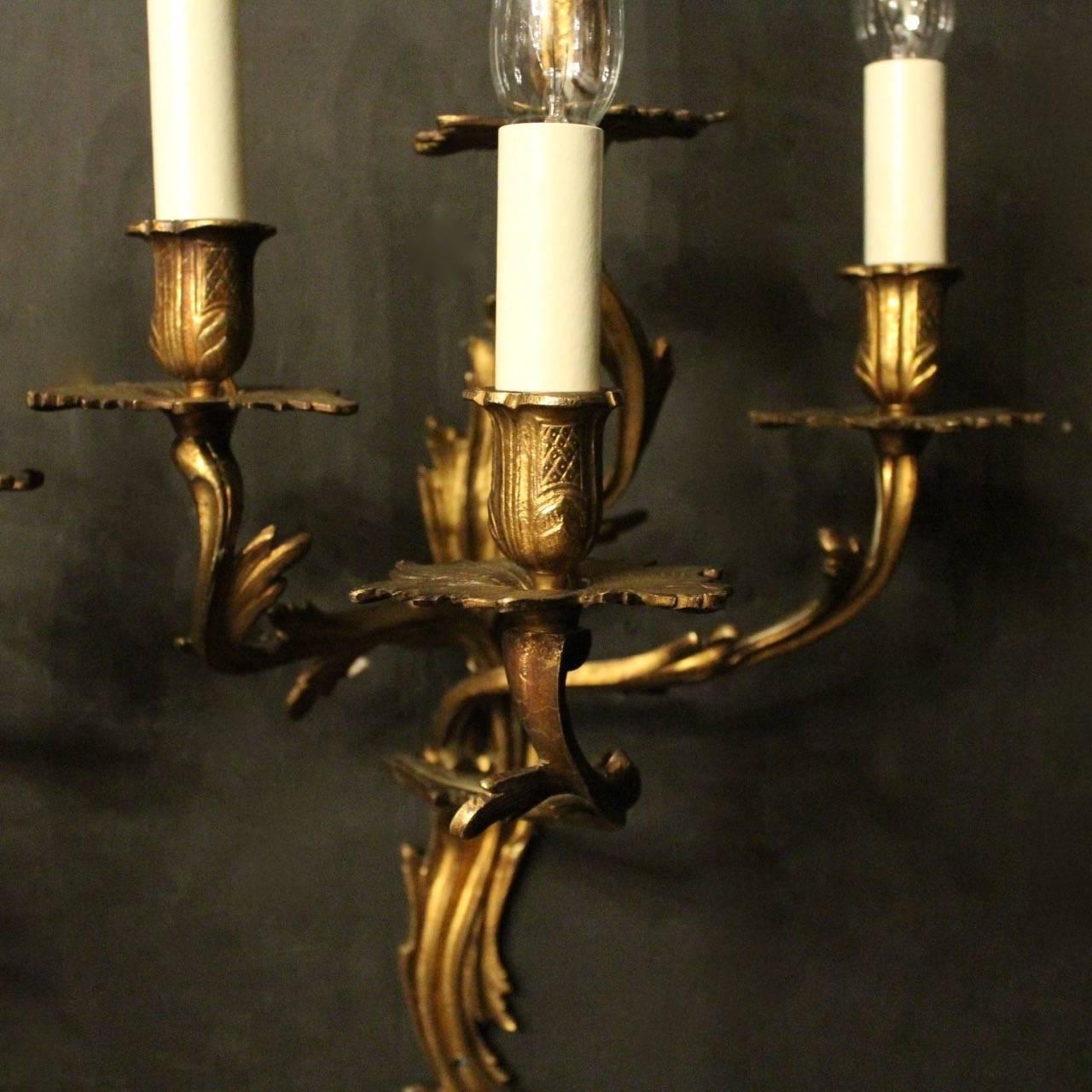 A French pair of gilded brass four arm opposing antique wall sconces, the acanthus leaf scrolling arms with leaf bobeche drip pans and bulbous etched candle sconces, issuing from a opposing acanthus leaf backplate, good original gilded patination