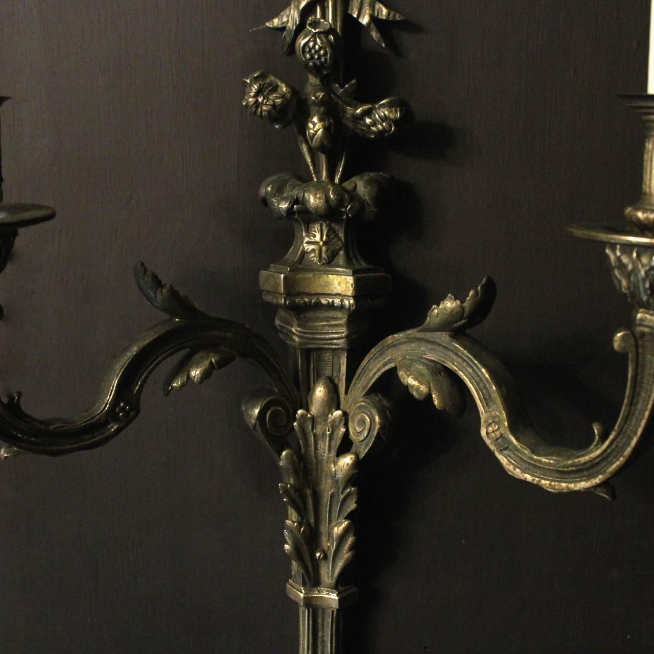 A large pair of French bronze twin arm antique wall sconces, the foliated tapering scrolling arms with leaf circular bobeche drip pans and reeded candle sconces, issuing from a decoratively cast elongated tapering leaf backplate with pierced ribbon