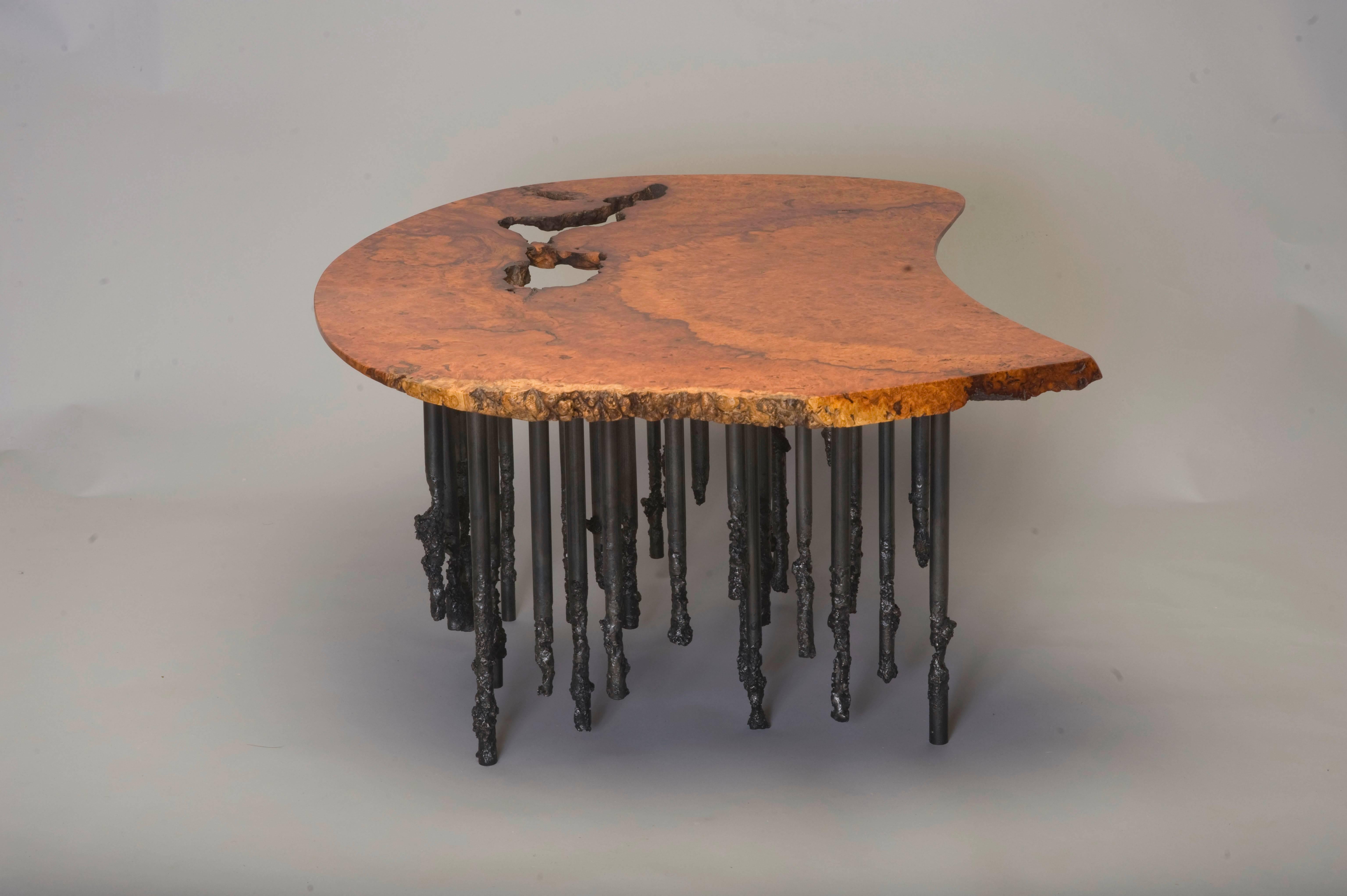 Cherry burl wood and melted iron coffee table with blackened steel patina and clear spray finish. Extremely rare and unique kidney bean shaped top with natural voids and tapered edge. Contrasting blackened iron patina and hand finished top create an