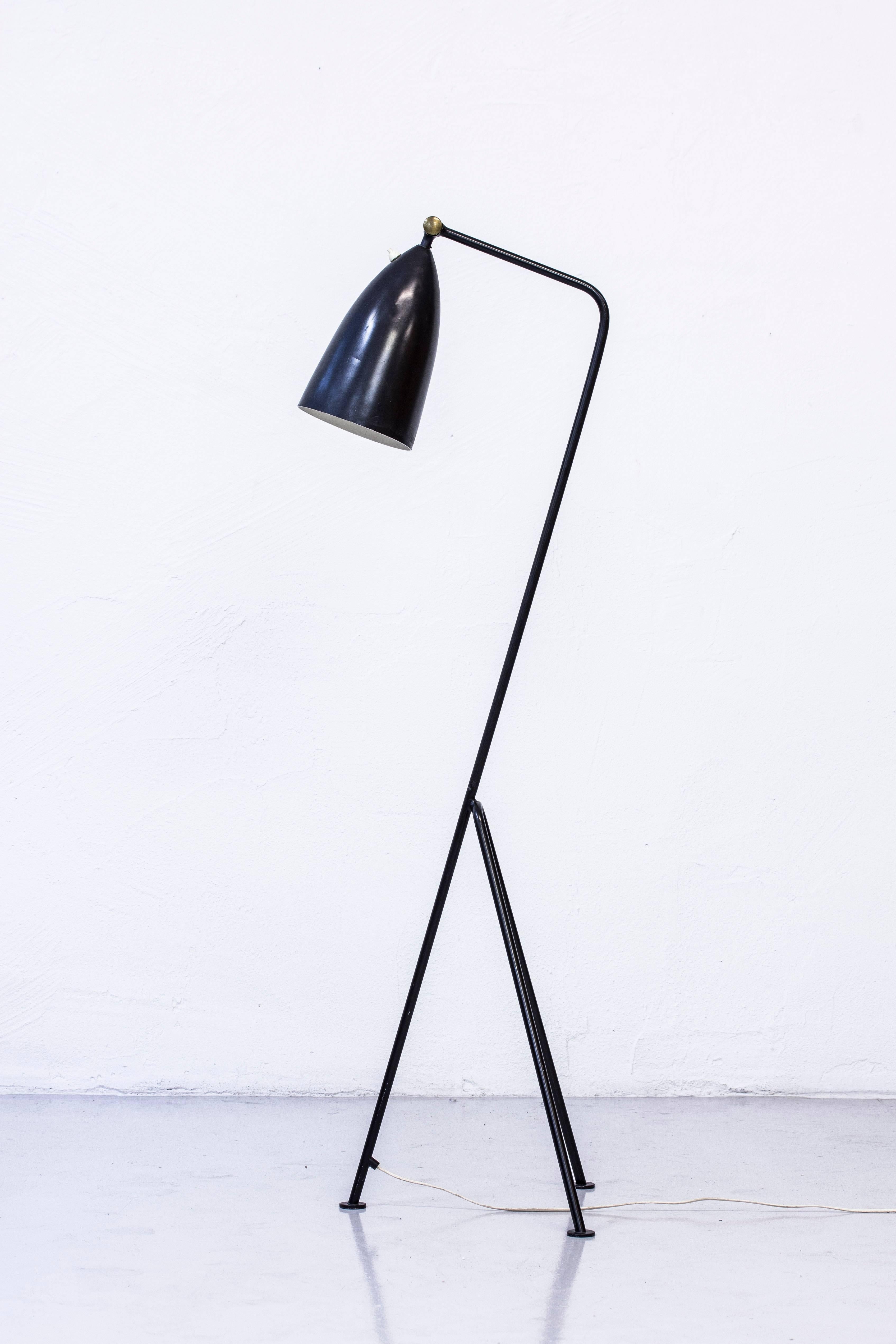Grasshopper floor lamp model G33 produced in Sweden by Malmo company Bergbom. Original production from the 1950s. Black lacquered metal with polished brass joint. Freely adjustable up and down which enables it being used as both reading light and an