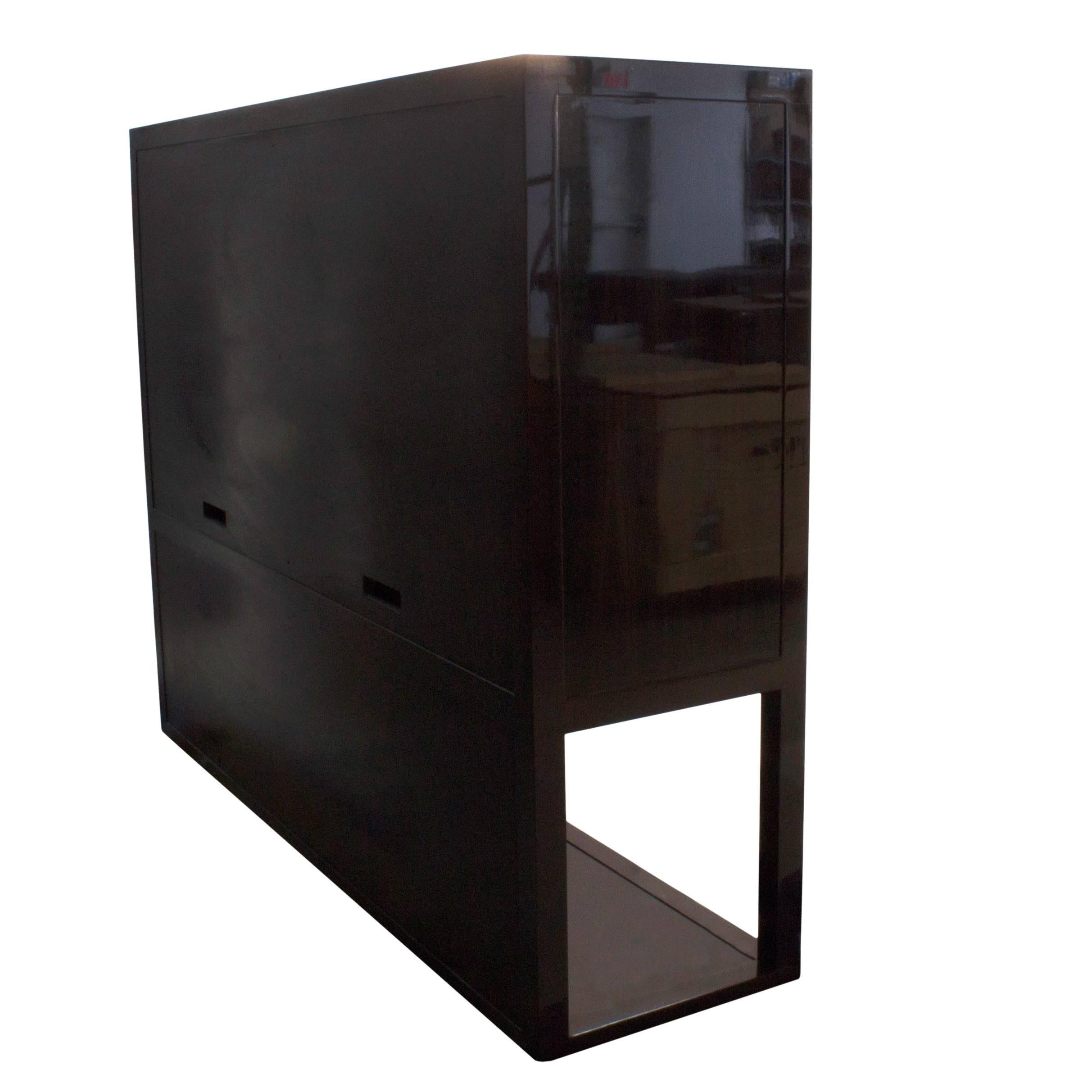 Macassar Ebony Luth Cabinet by Christian Liaigre, France For Sale 1