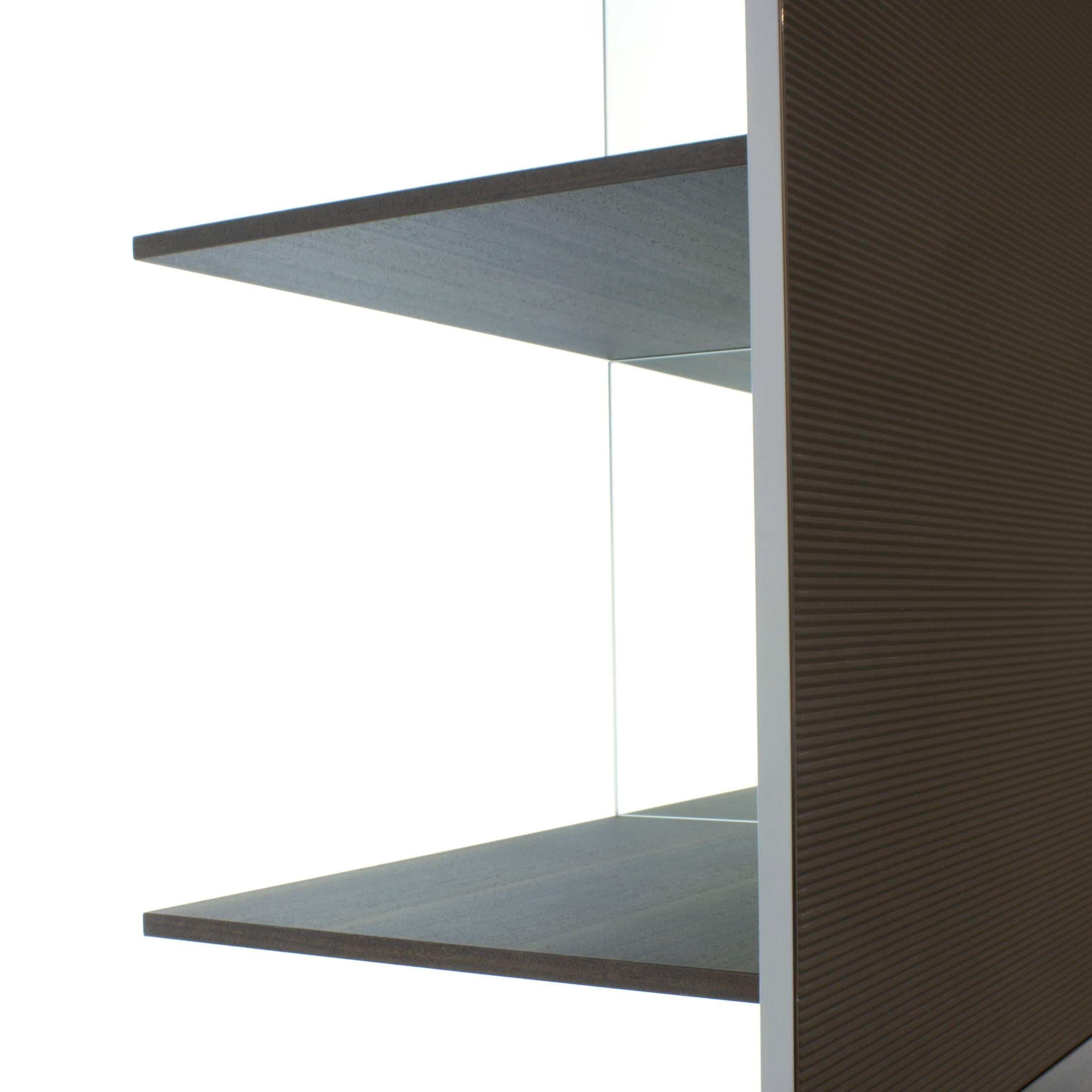 Contemporary Pass-Word Suspended Sliding Bookshelf Cabinet by Dante Bonuccelli for Molteni For Sale