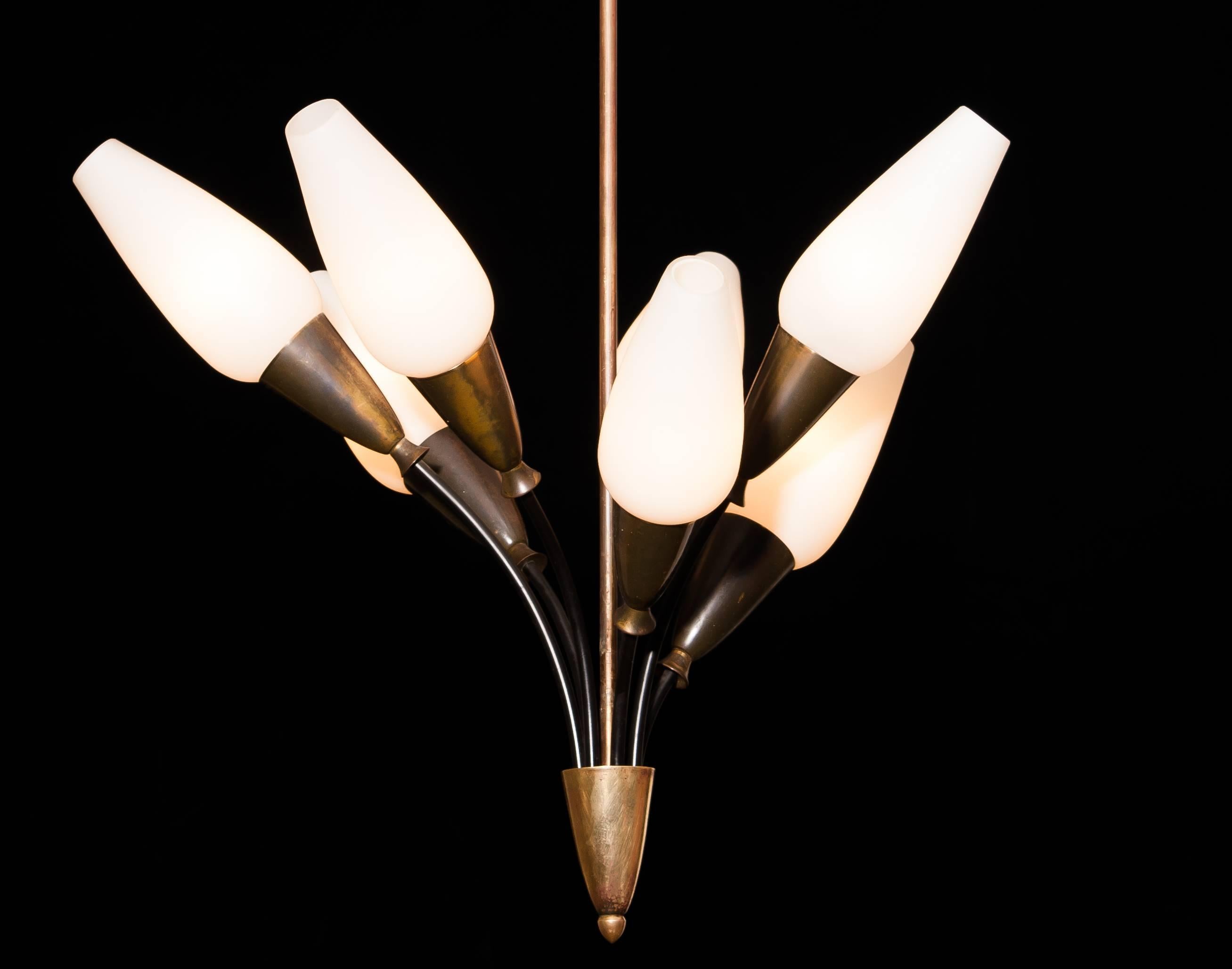 1950s, Brass Italian Tulip Chandelier In Excellent Condition In Silvolde, Gelderland