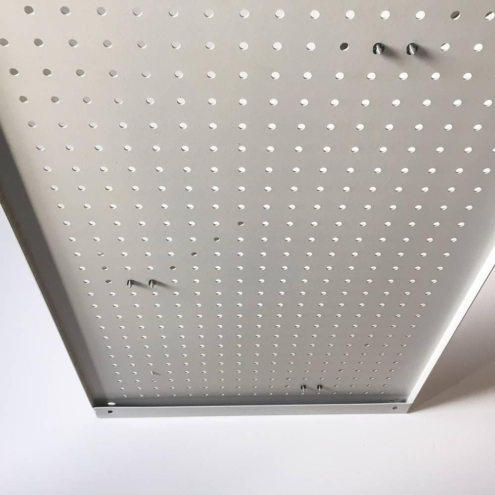 German 1 of 2 Metal Wardrobe Wall Panel Elements RZ 61 by Dieter Rams for Vitose, 1960s