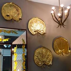 a rare set of Four Large Brass Water Lilies Sconces or Wall Lights