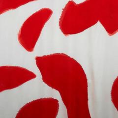 Rideau rouge à clous en soie peint à la main Amoeba