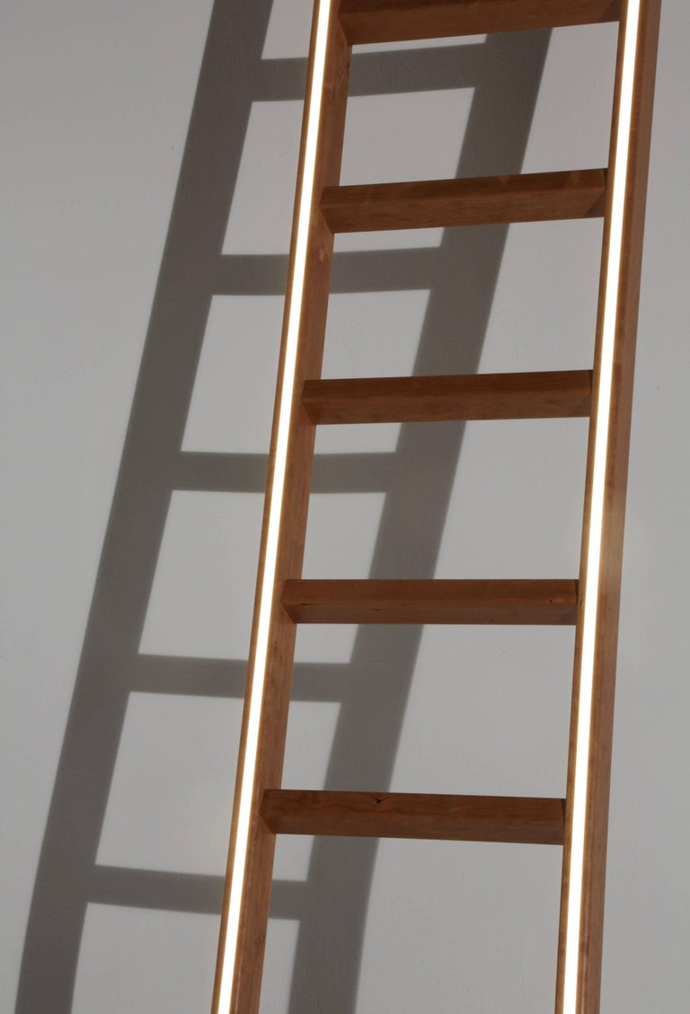 Cherry Ladder Light LED Sculpture For Sale at 1stDibs led ladder
