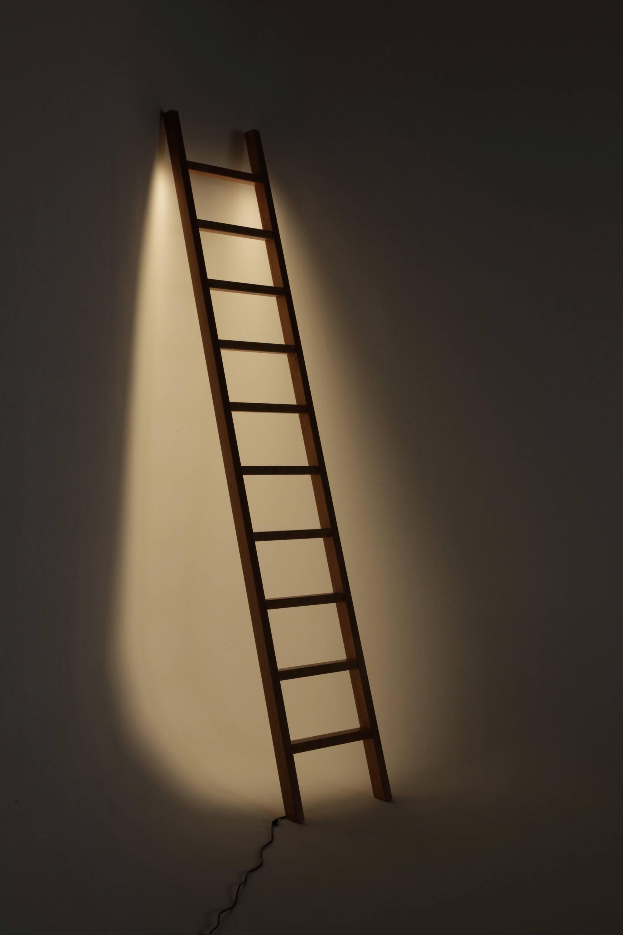 Other Cherry Ladder Light LED Sculpture For Sale