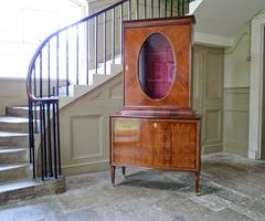 Paolo Buffa Vitrine or Display Cabinet in Rosewood, Italian, 1950s
