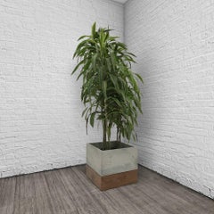 Modern Cast-Concrete and Solid Walnut "Planter Box"