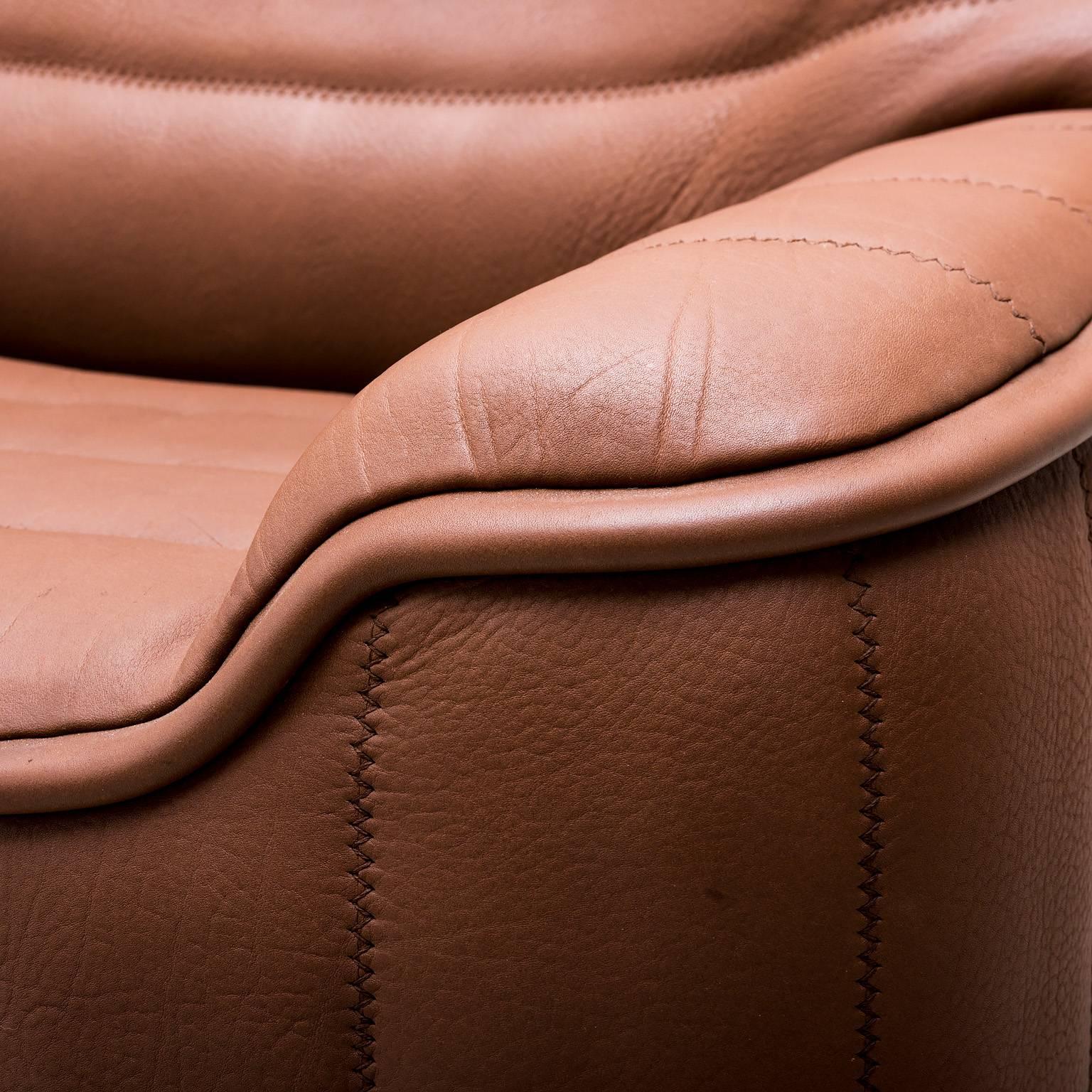 Pristine Original De Sede Model Ds84 Sofa in Cognac Buffalo Leather, 1970s 2