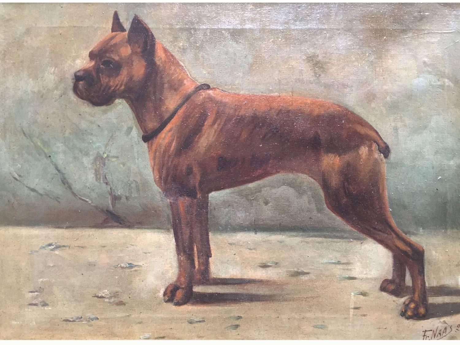 Oil painting on canvas depicting a mastiff dog, a boxer with striped and dark coat, represented standing, in profile, with the body leaning forward, watchful and threatening expression. 
Of French origin, it is signed and dated lower right Fr. Naas