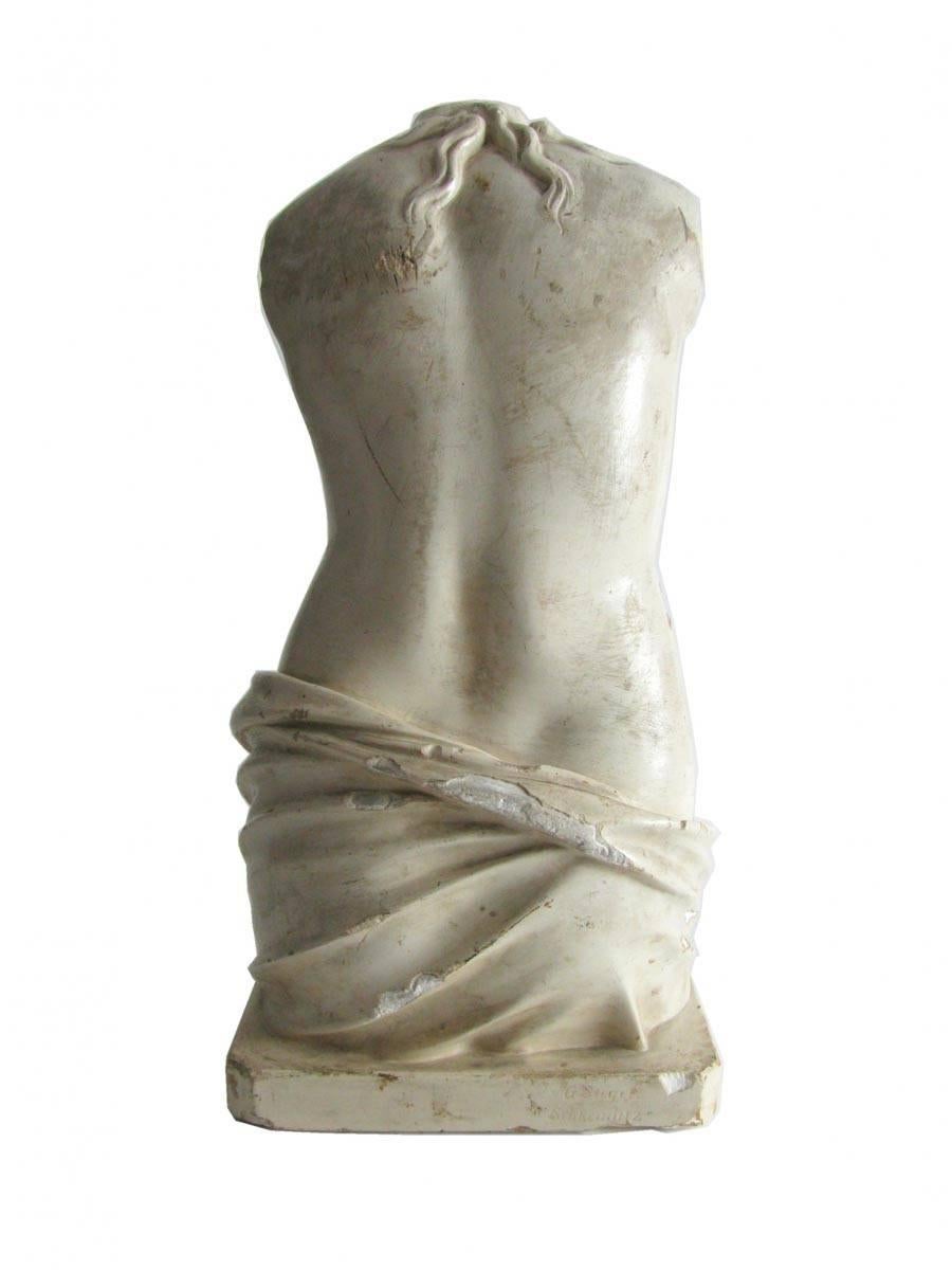 A rare polychrome plaster cast of anatomic human female torso model standing on rectangular base, a German hand-painted plaster instructional anatomical model signed on the base by G. Steger Schkeuditz and inscribed with numbers for instruction.
