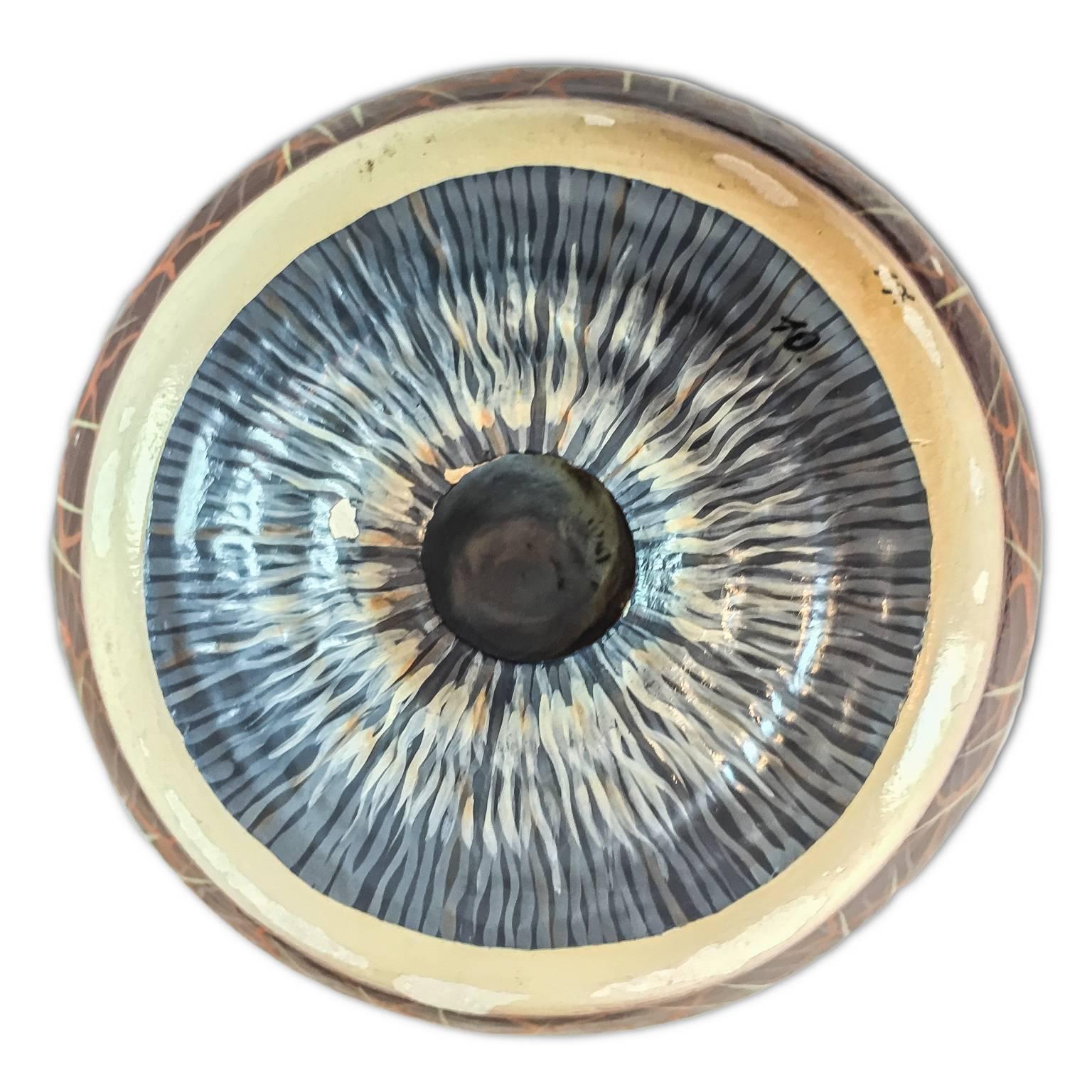 20th Century Flemish Wunderkammer Anatomical Human Eye Model, Plaster and Glass 4