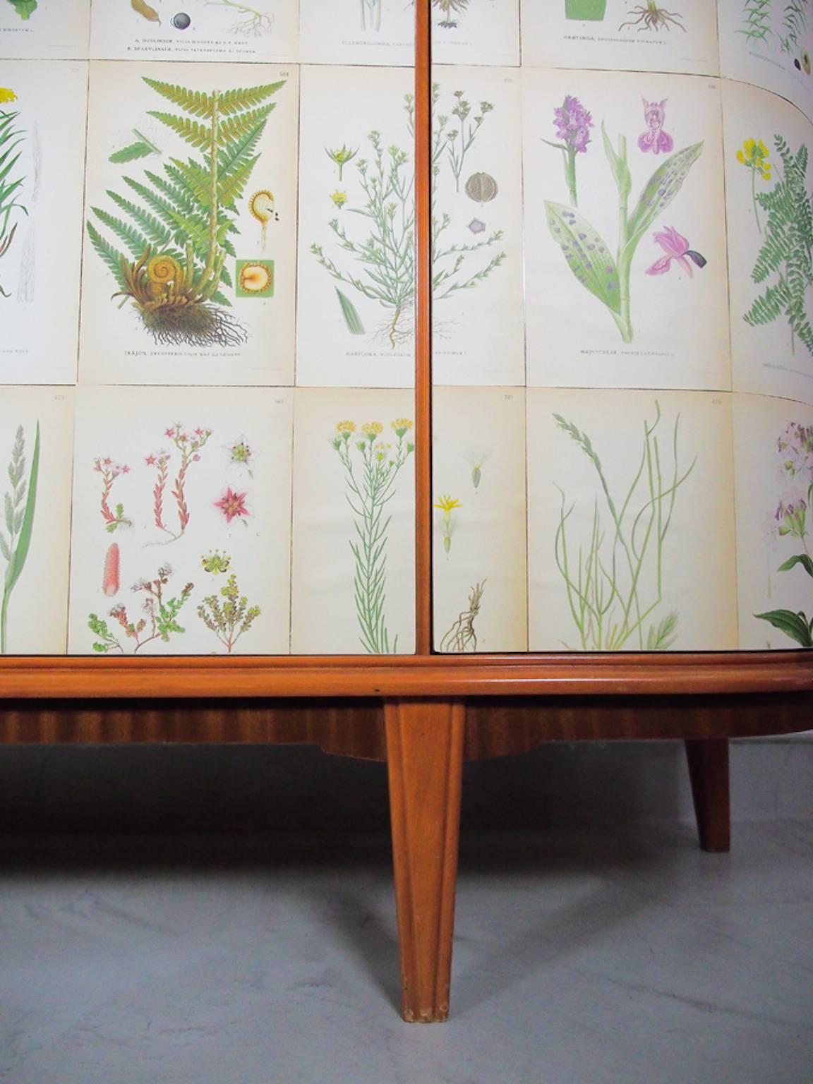 Mid-20th Century Nordens Flora Cabinet with C.A.M. Lindman Decorations 1