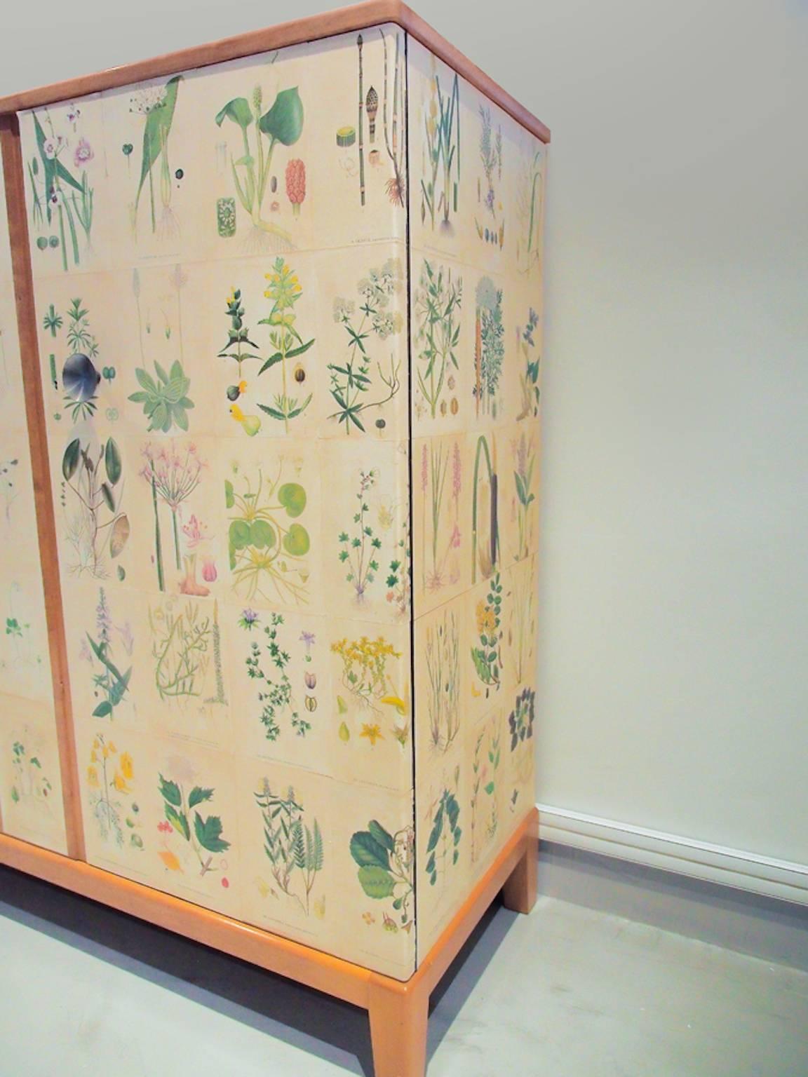 Scandinavian Modern Swedish Wooden Cabinet with Nordern Flora Illustrations by C.A. Lindman