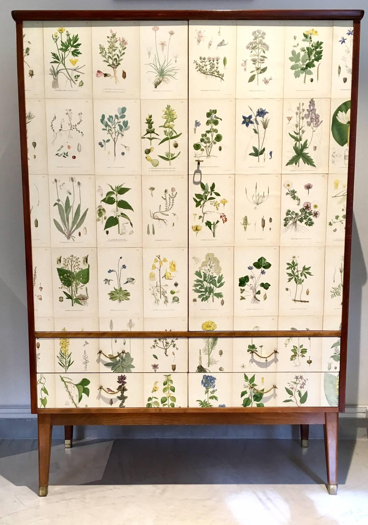 Beautiful wooden cabinet with front decorated with illustrations from the book "Nordens Flora" by Swedish botanist and botanical artist Carl Axel Magnus Lindman (1856-1928). In the style of Josef Frank. Interior lined with shelves, four