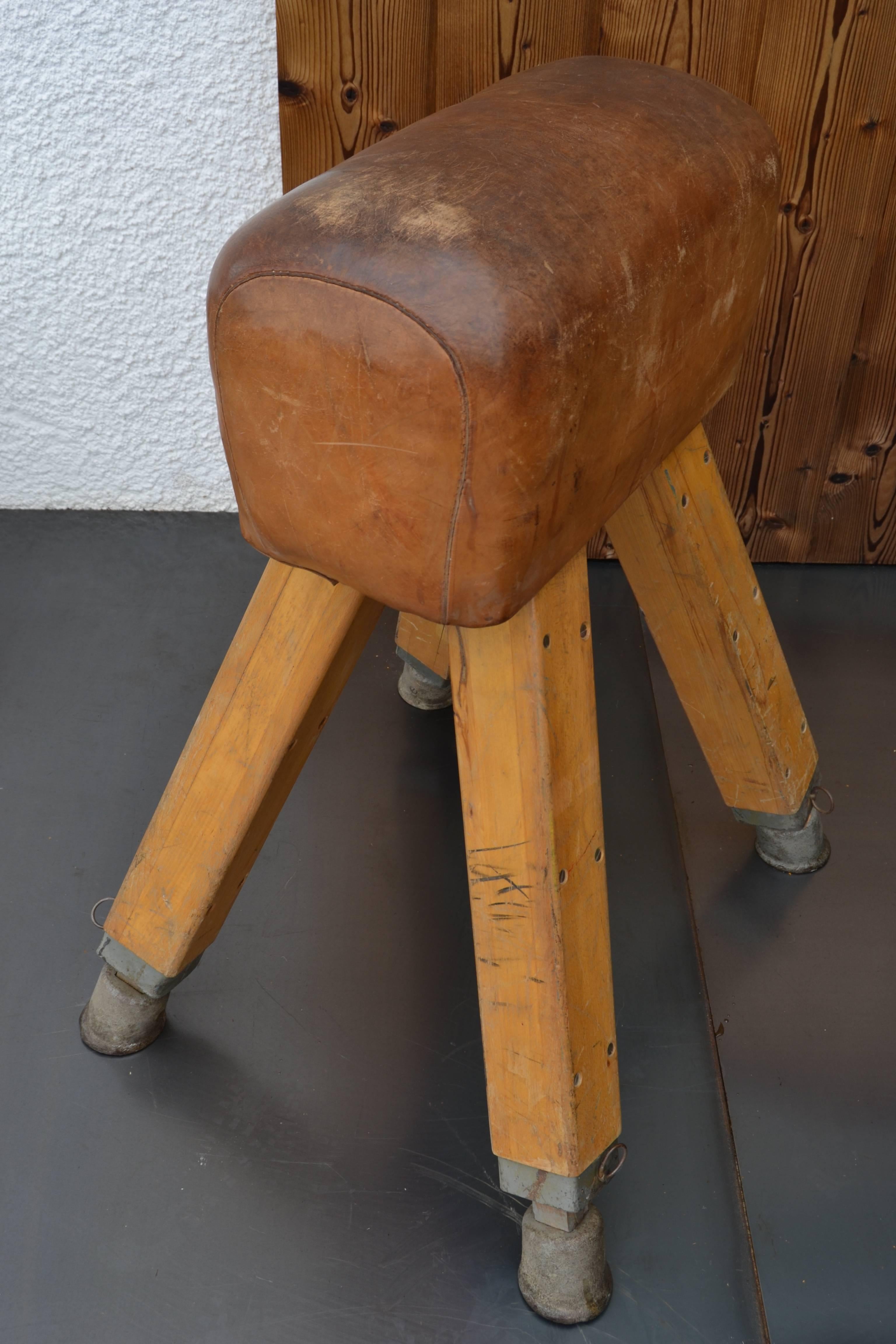 Rare Small Pommel Horse For Sale 3