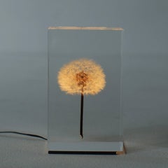 Oled Tampopo Dandelion Object Light Takao Inoue