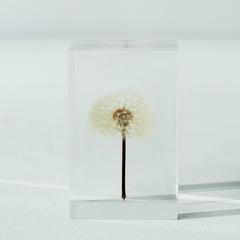 Tampopo Acrylic Dandelion Object