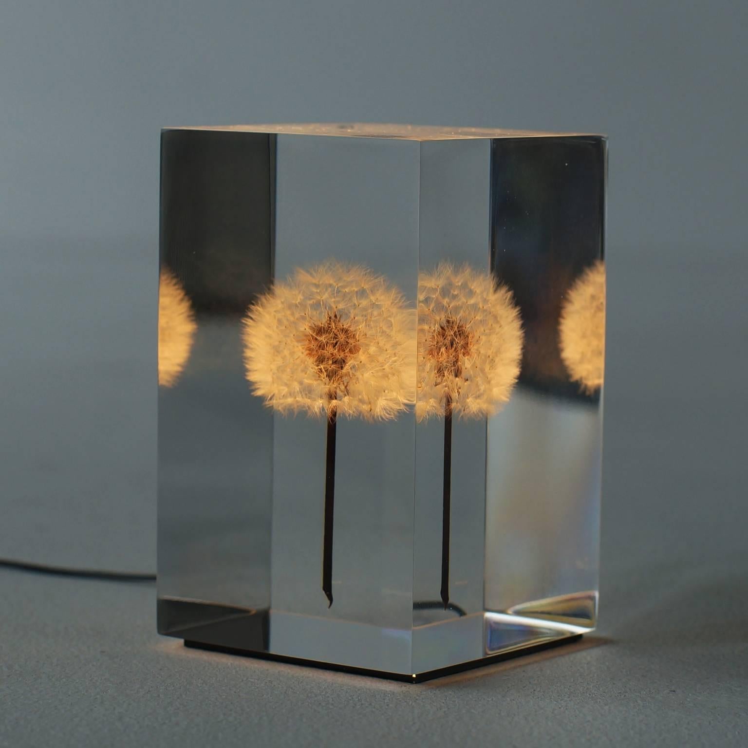 oled tampopo light
