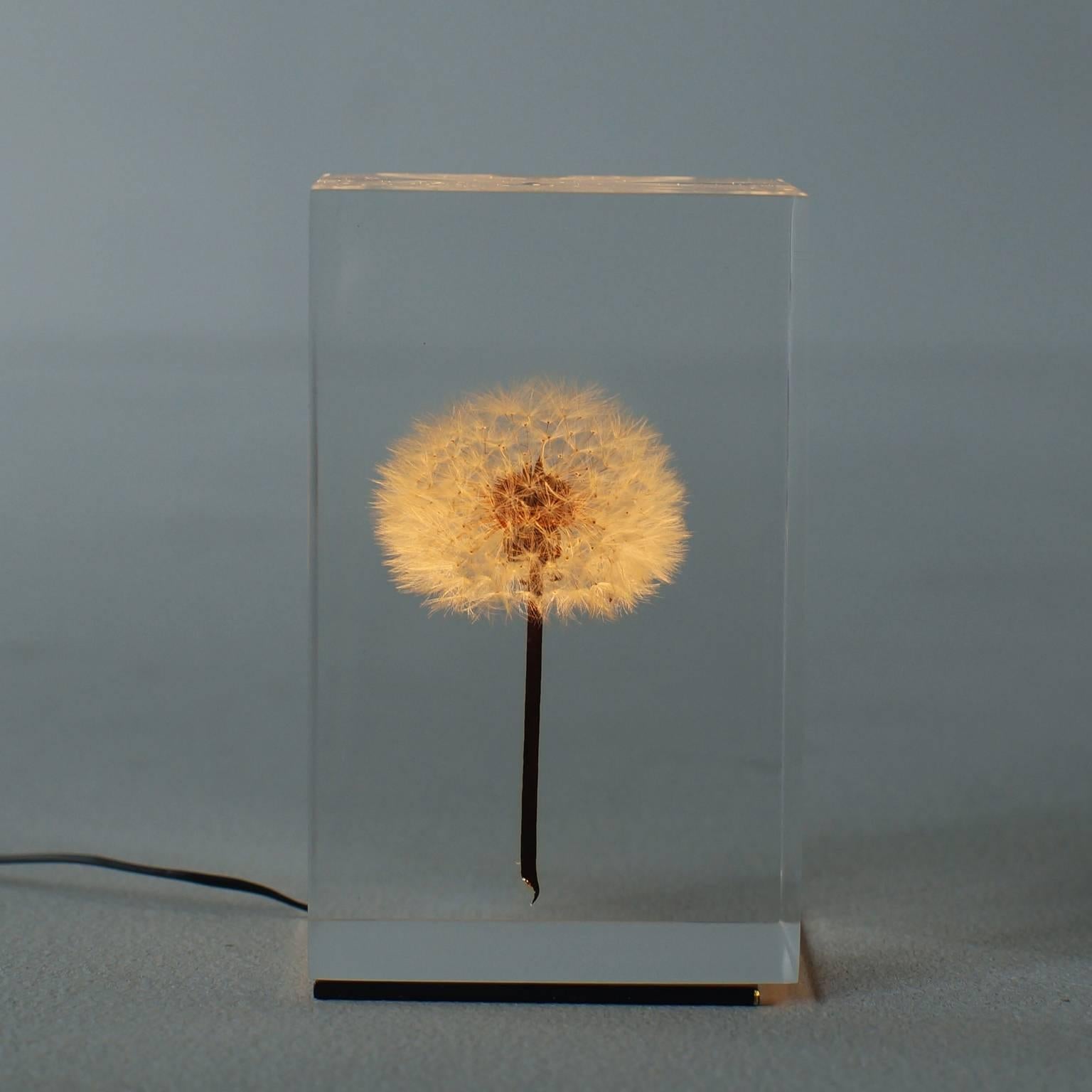OLED TAMPOPO is light model of TAMPOPO acrylic object that real dandelion sealed in. Artist is Takao Inoue who is based in Tokyo.
OLED TAMPOPO illuminates randomly stronger or weaker like an candle. We set small computer chip in electric adapter to