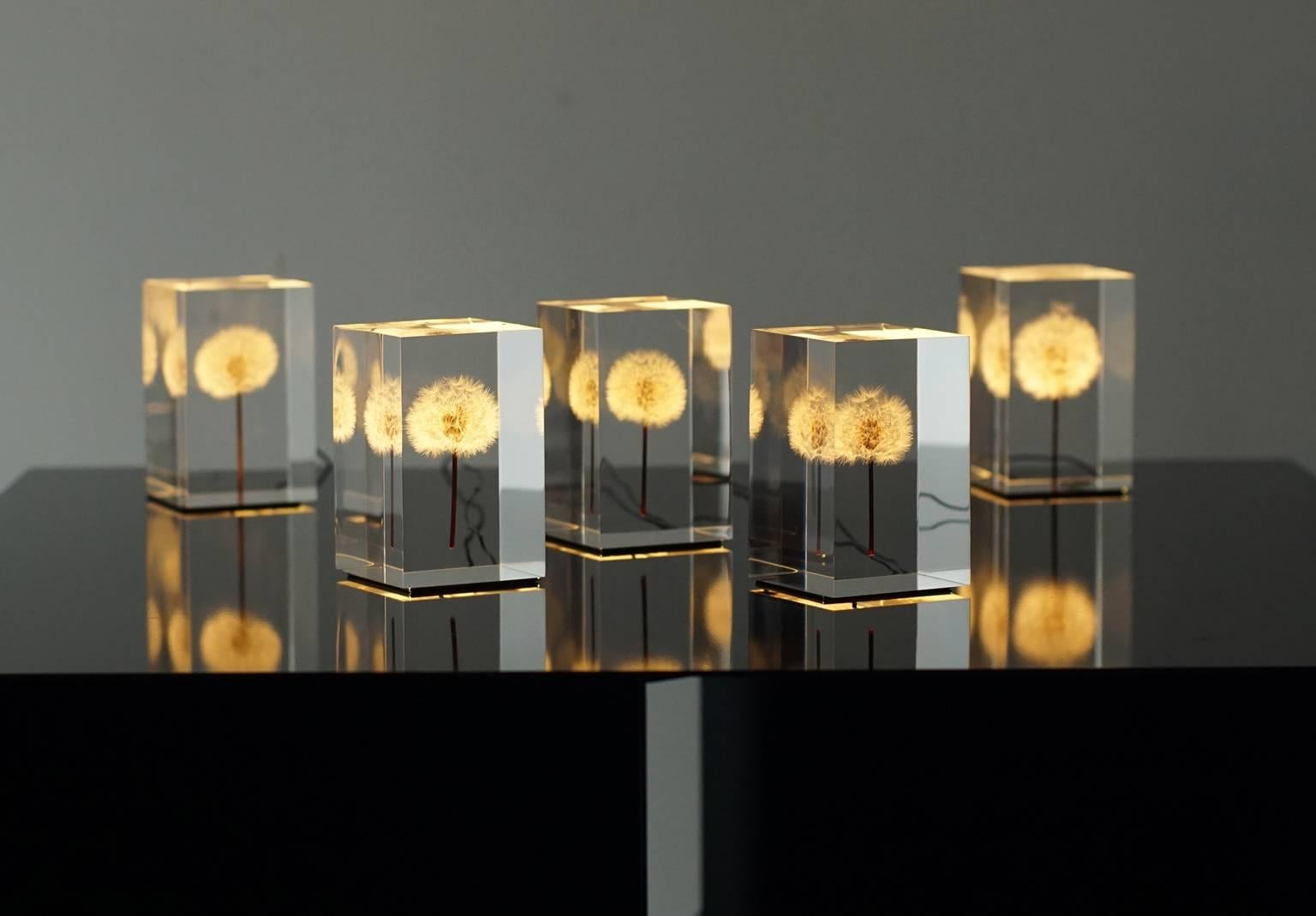 oled dandelion objet d’art
