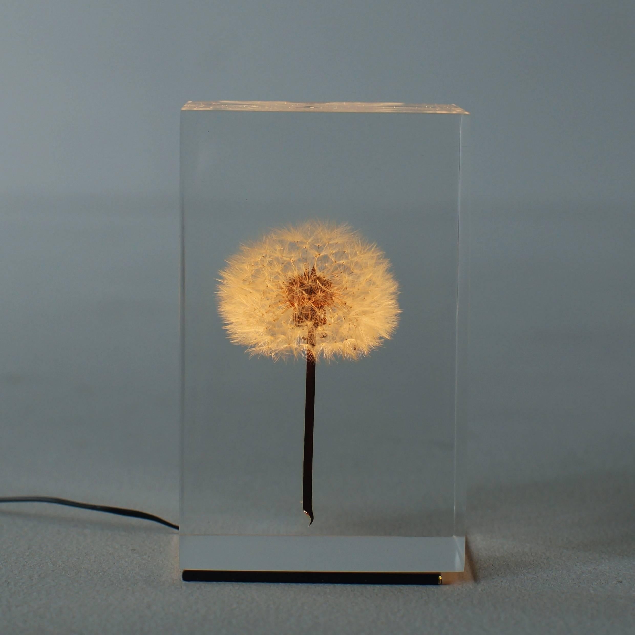 Oled Tampopo is light model of Tampopo acrylic object that real dandelion sealed in. Artist is Takao Inoue who is based in Tokyo. Oled Tampopo illuminates randomly stronger or weaker like an candle. We set small computer chip in electric adapter to