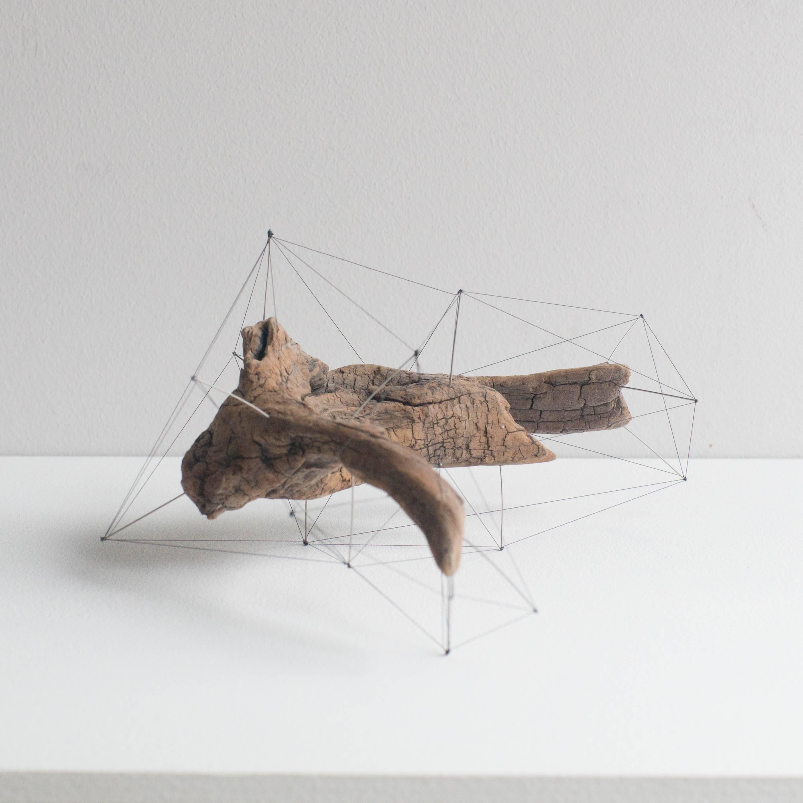 Handmade object made of drift wood, pins and threads. Pins stuck in drift wood, where their tips are tied with threads. It looks like an another crust outside the drift wood, or the three dimensional specimen.

Artist statement:
Driftwood has